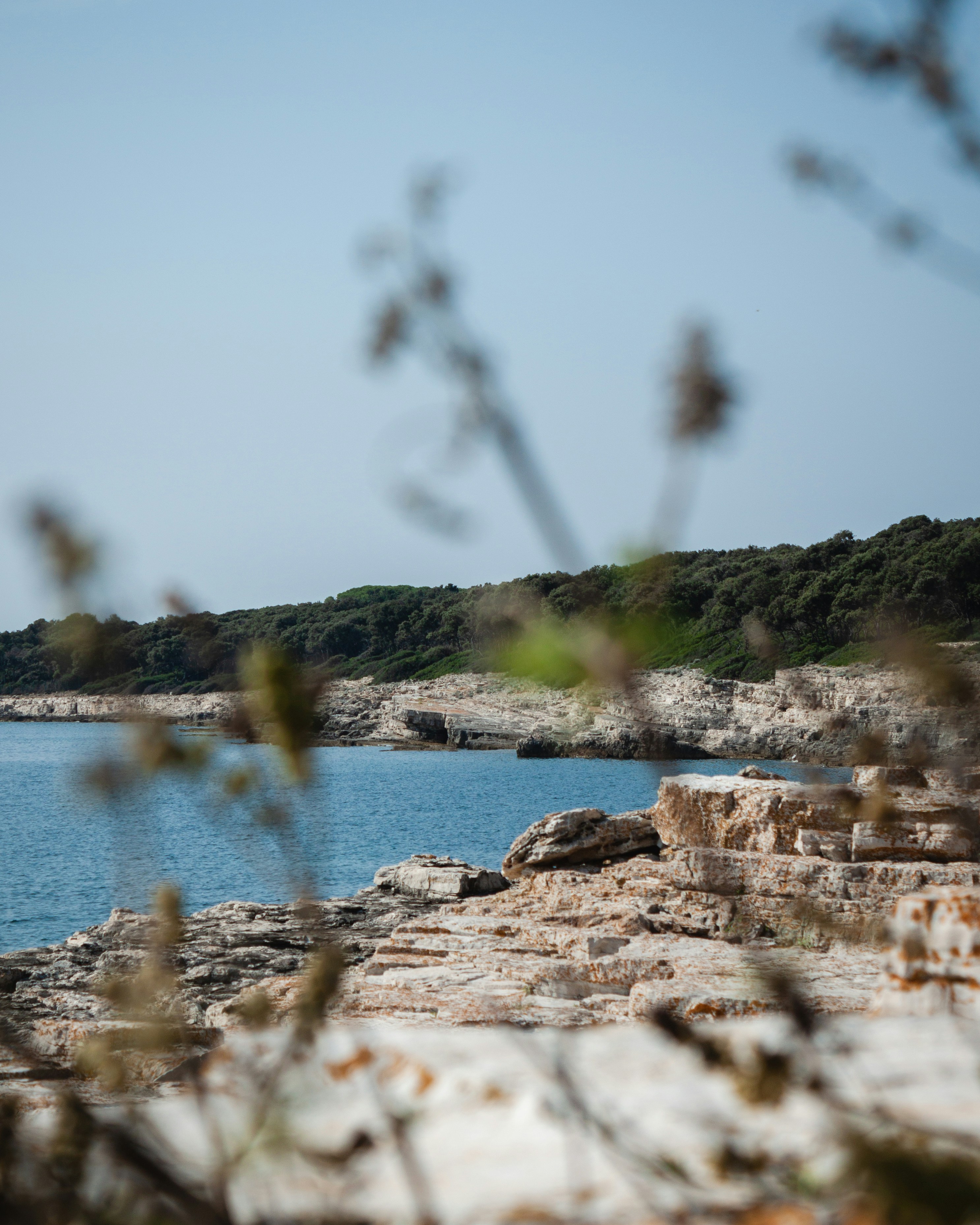 Brijuni Islands, Brijuni Islands, Croatia