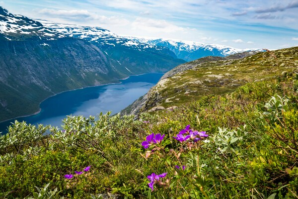 Unnamed Road, 5760 Røldal, Norway, Odda