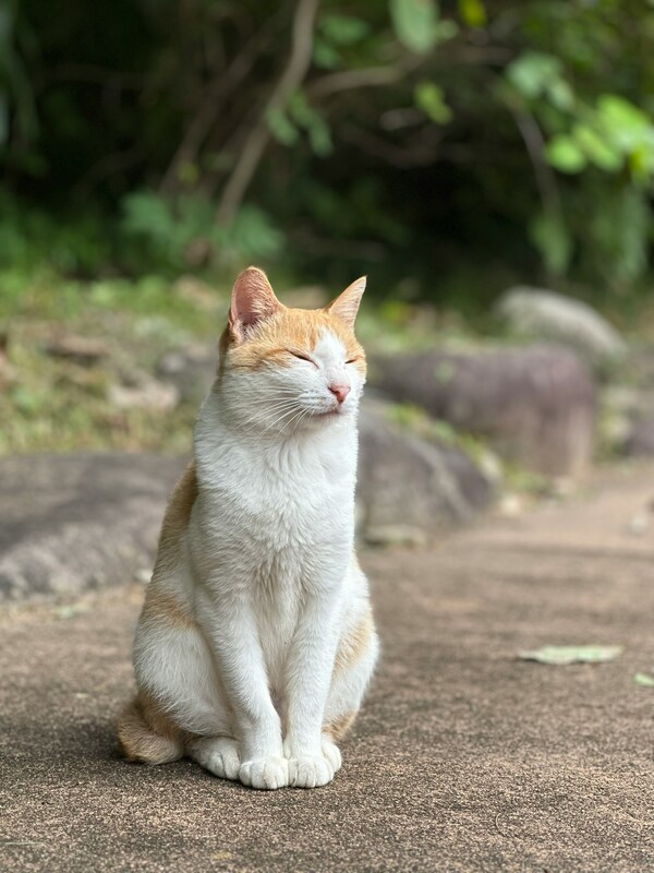 Seoraksan-ro, Sokcho-si, Gangwon-do, South Korea