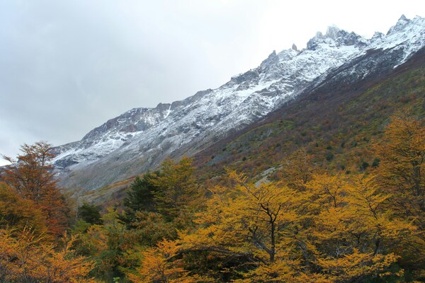Parque Nacional Torres del Paine, Chile