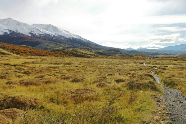 Parque Nacional Torres del Paine, Chile