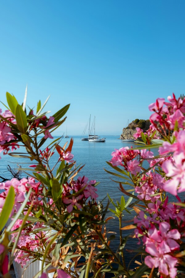 Agropoli, SA, Italia