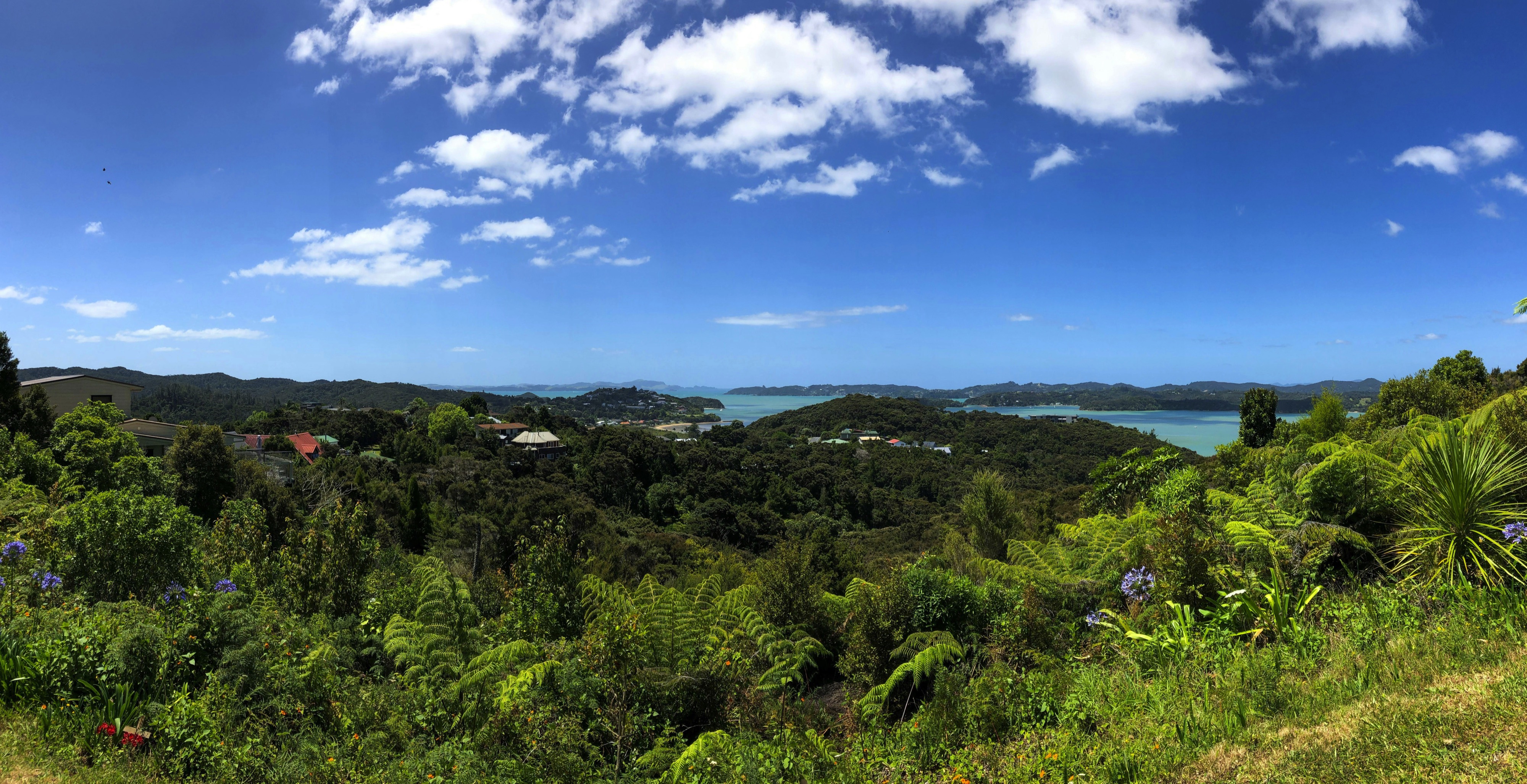 Paihia, New Zealand