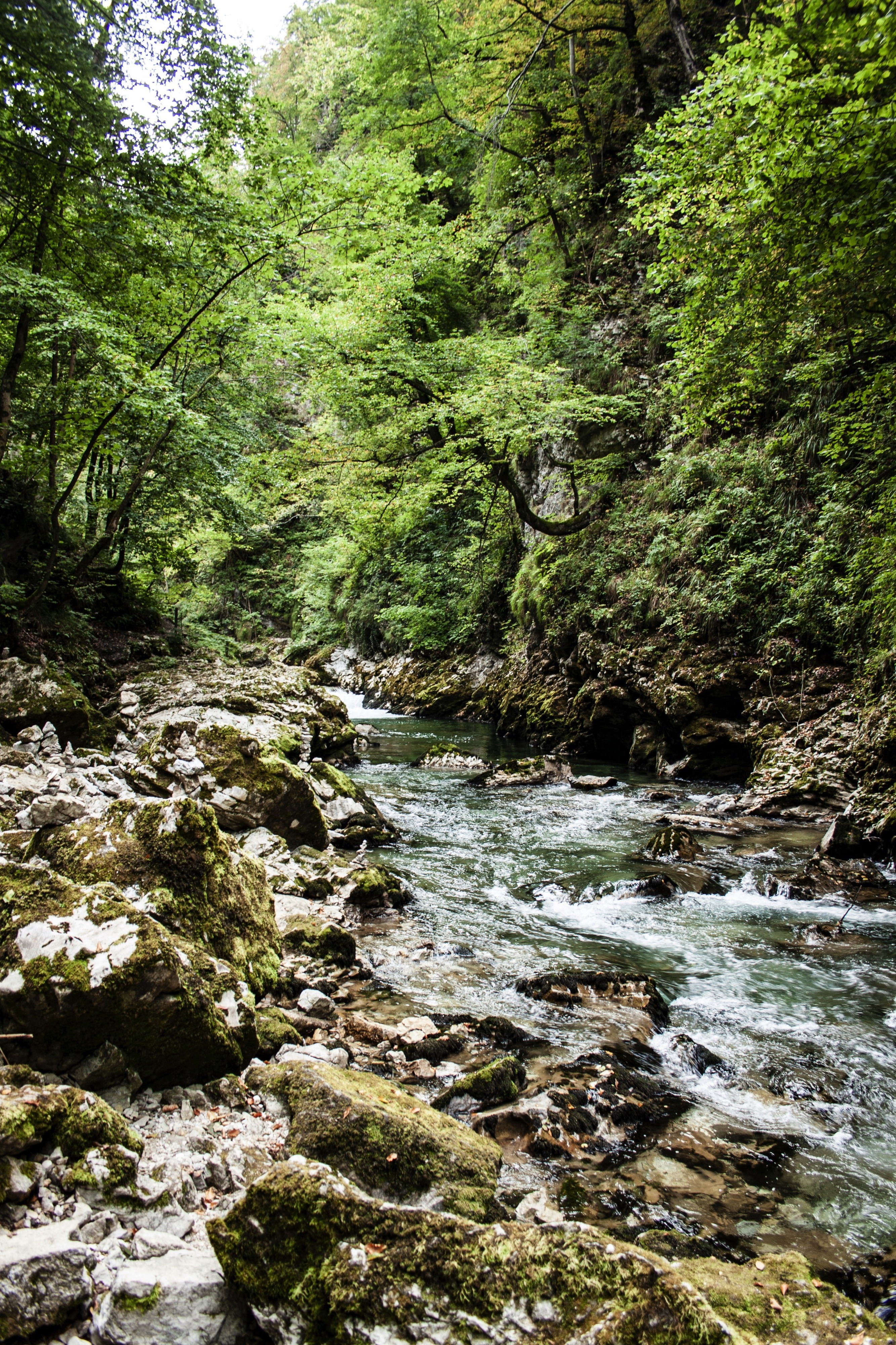 Kranjska Gora, Slovenia