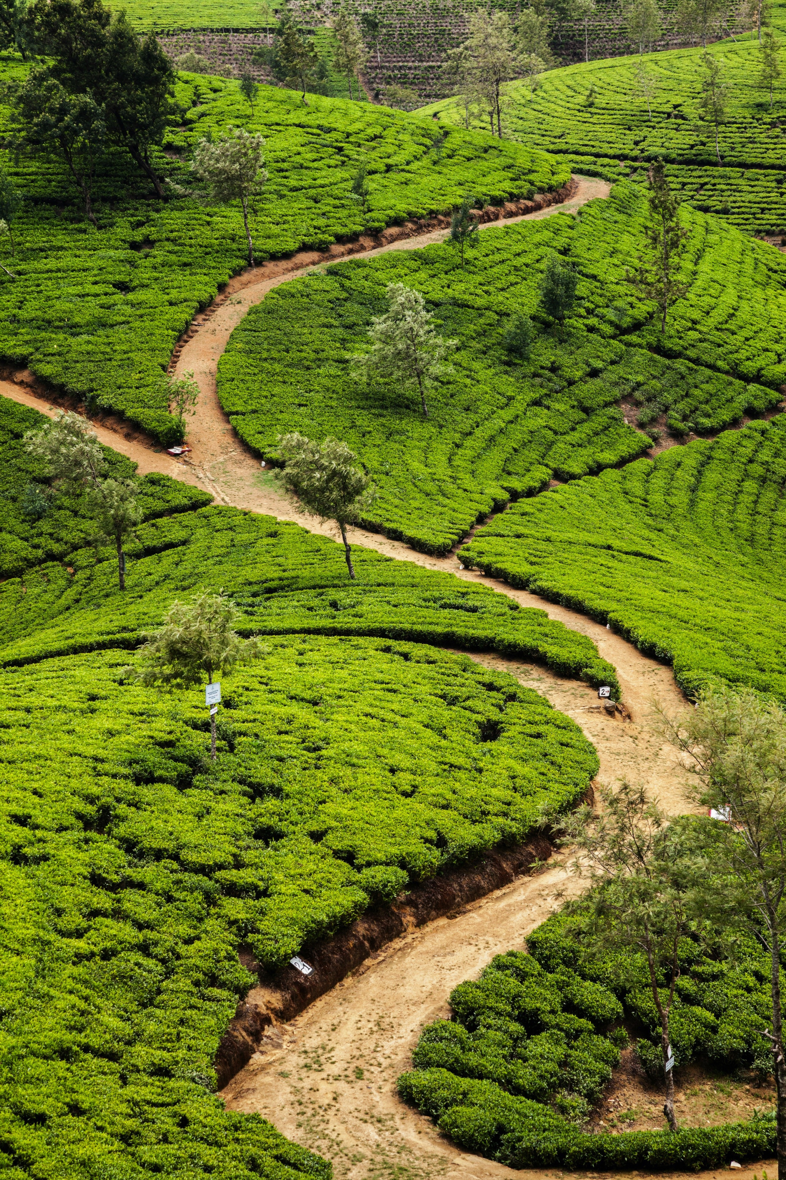 Nuwara Eliya, Sri Lanka