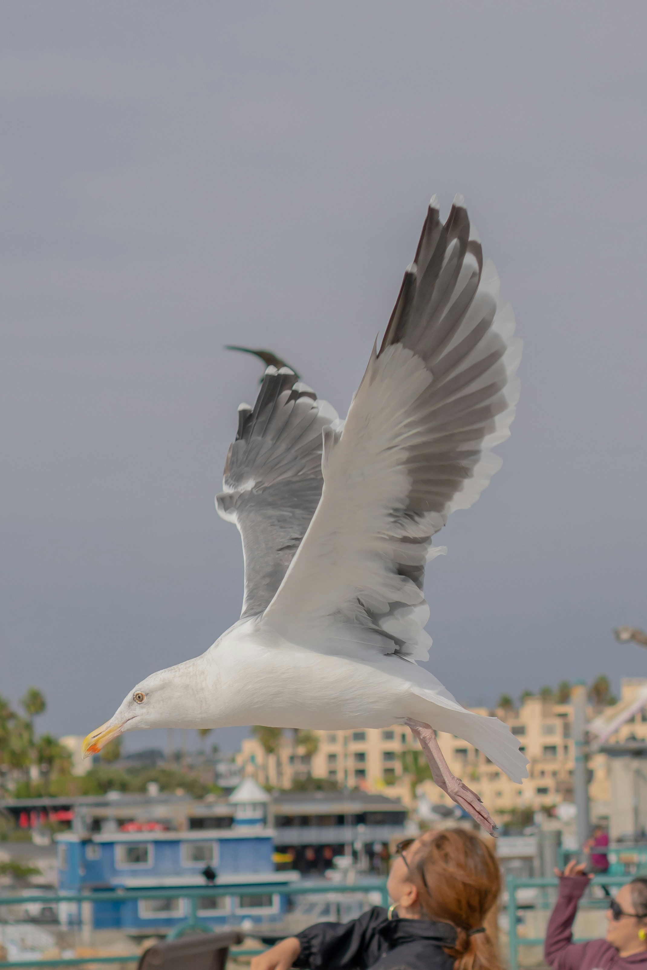 Redondo Beach, CA, USA