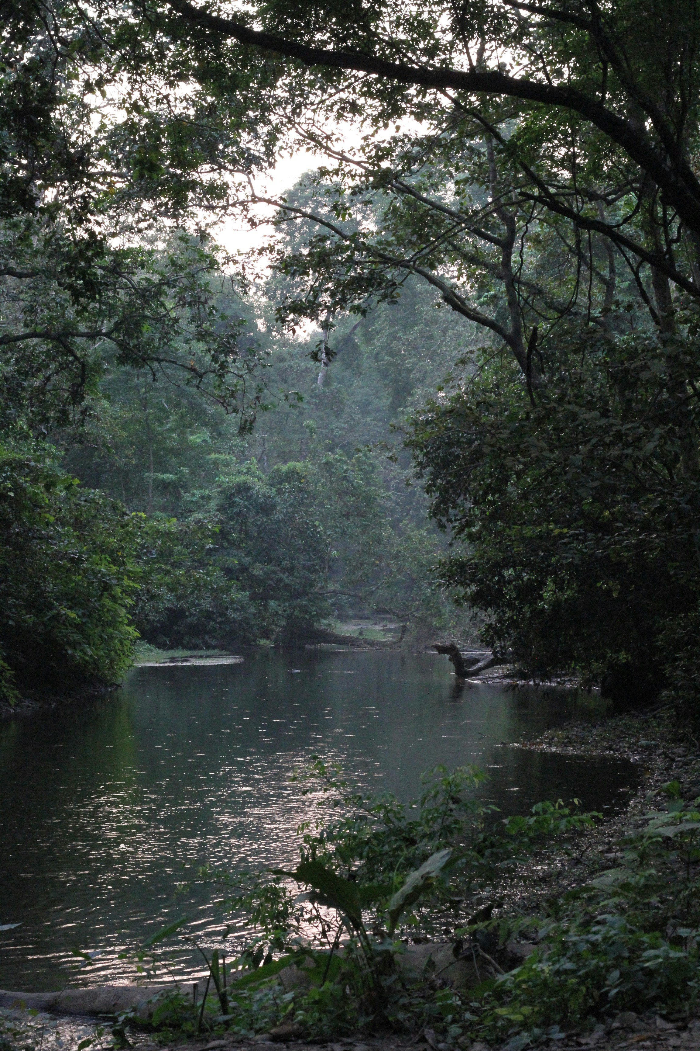 Taken inside the Buffer zone near Chitwan National Park