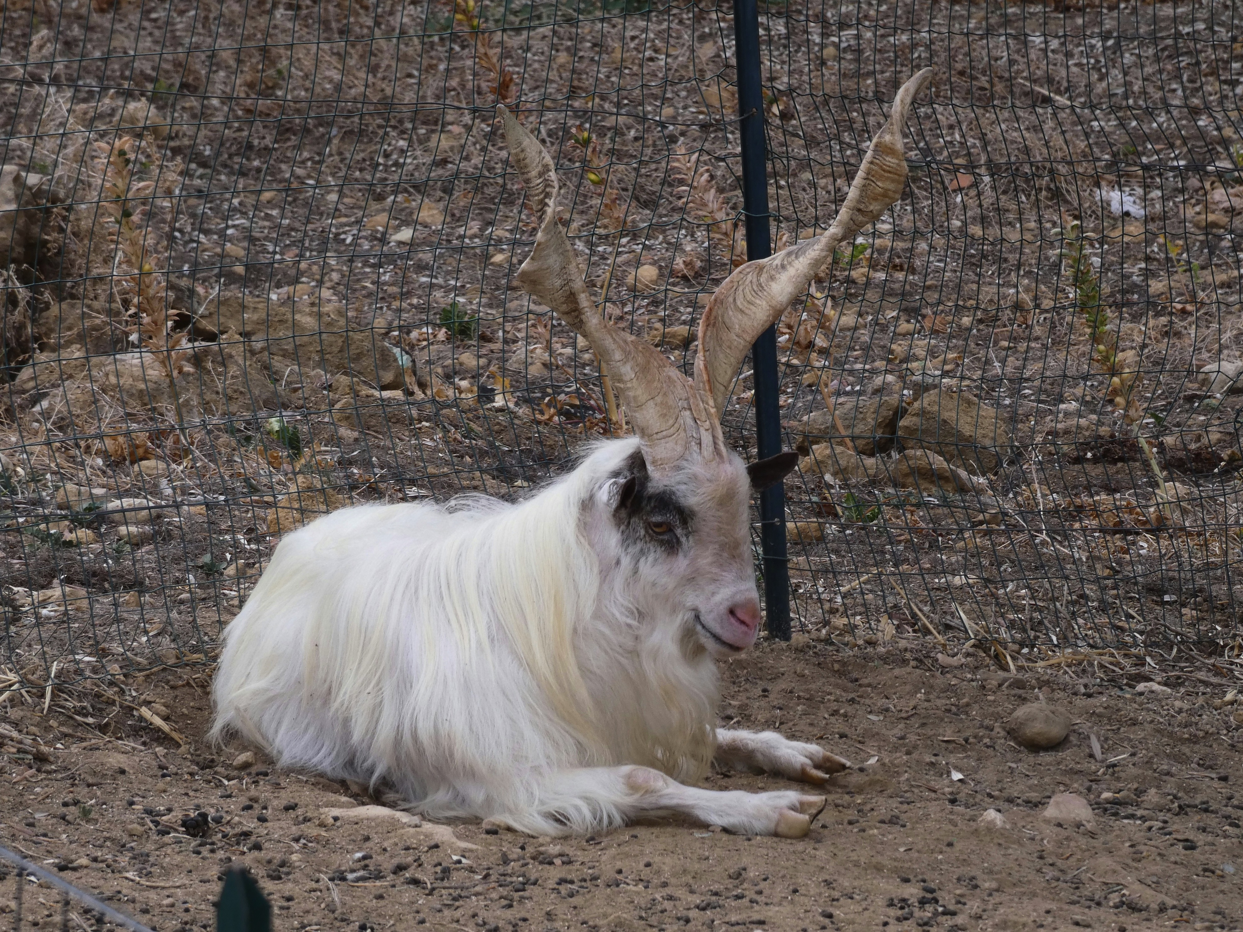 Agrigento, AG, Italia