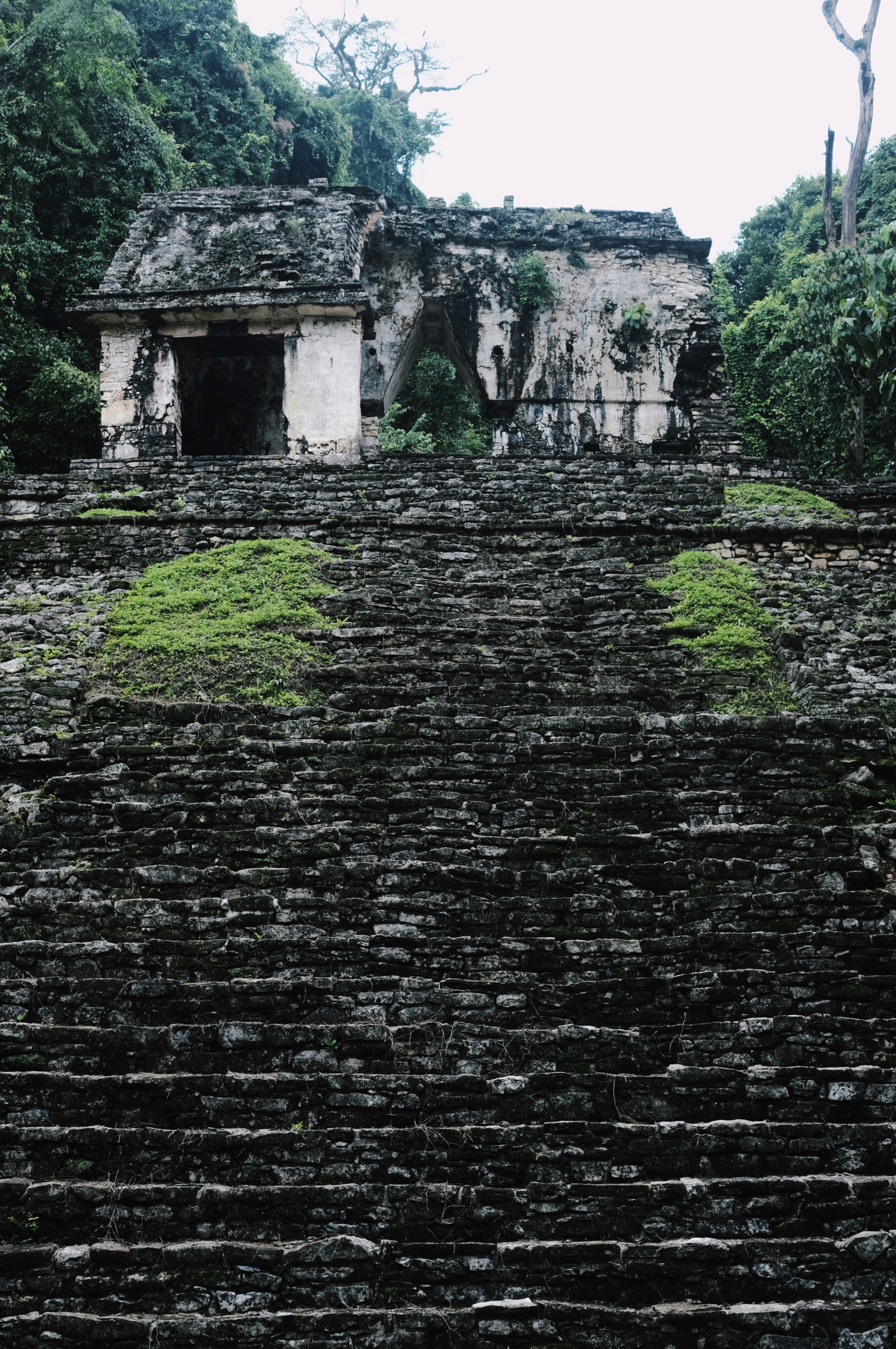 Palenque, Chis., Mexico