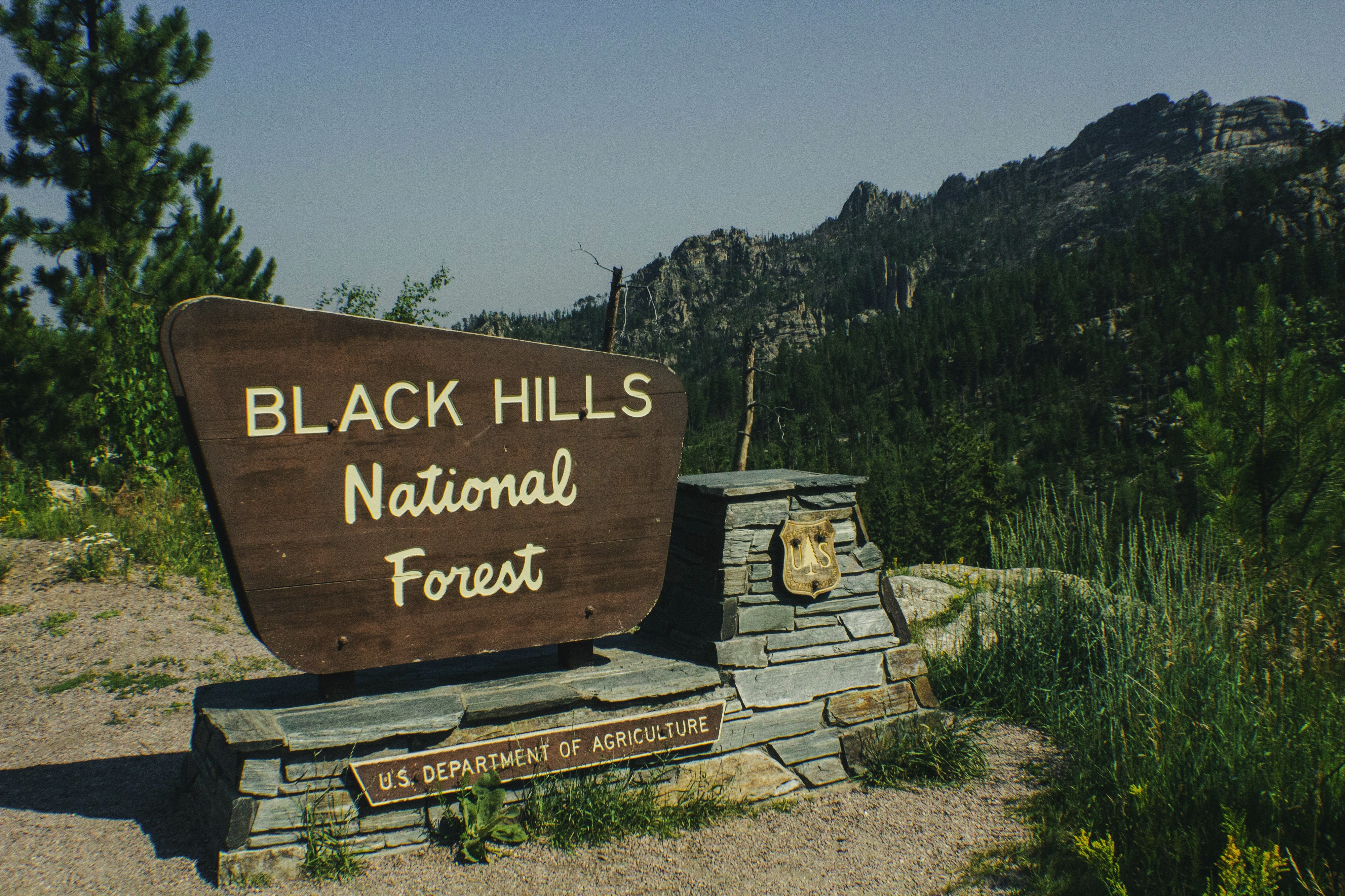 Black Hills National Forest, Custer, United States