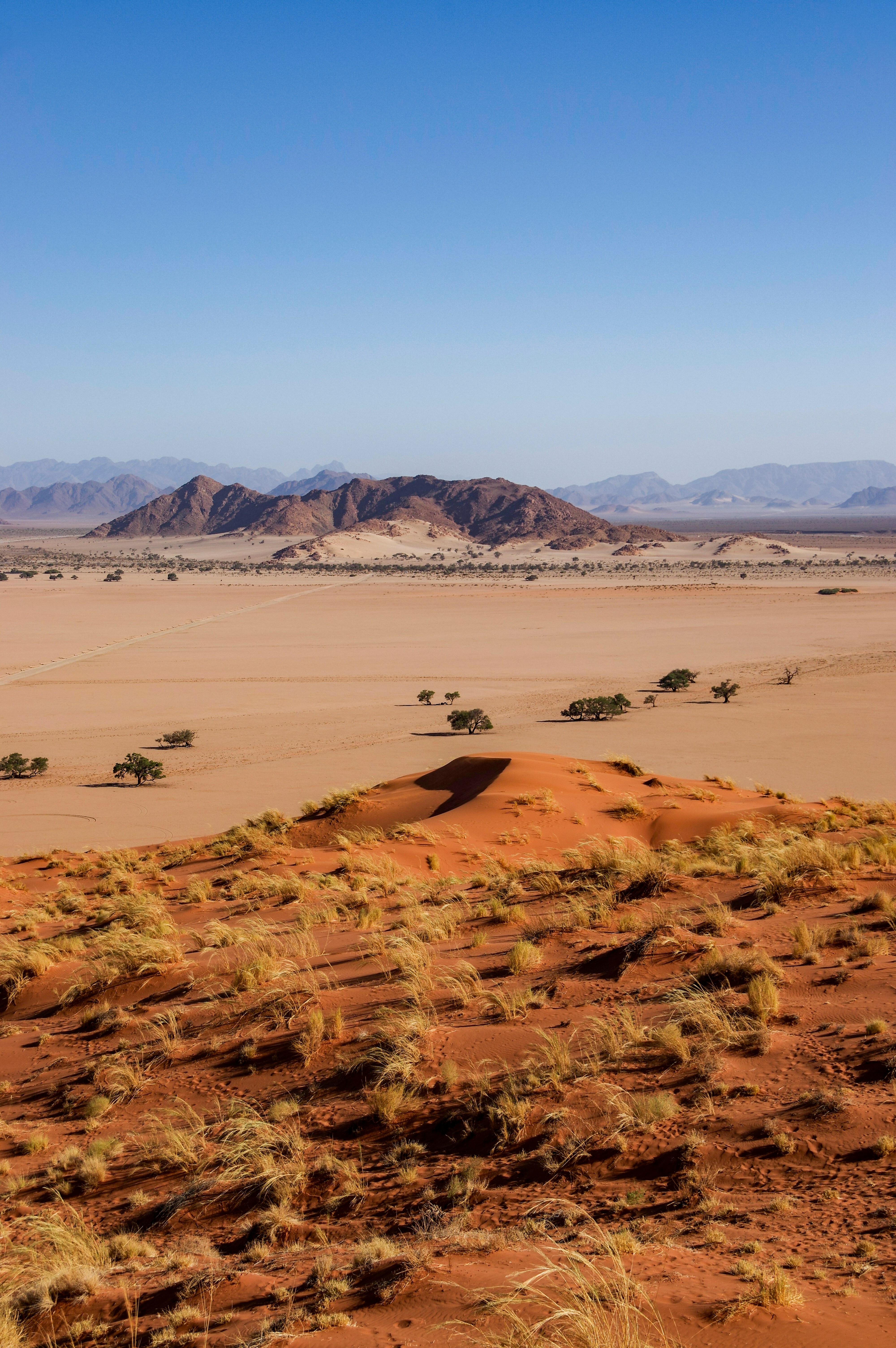 Namib Desert