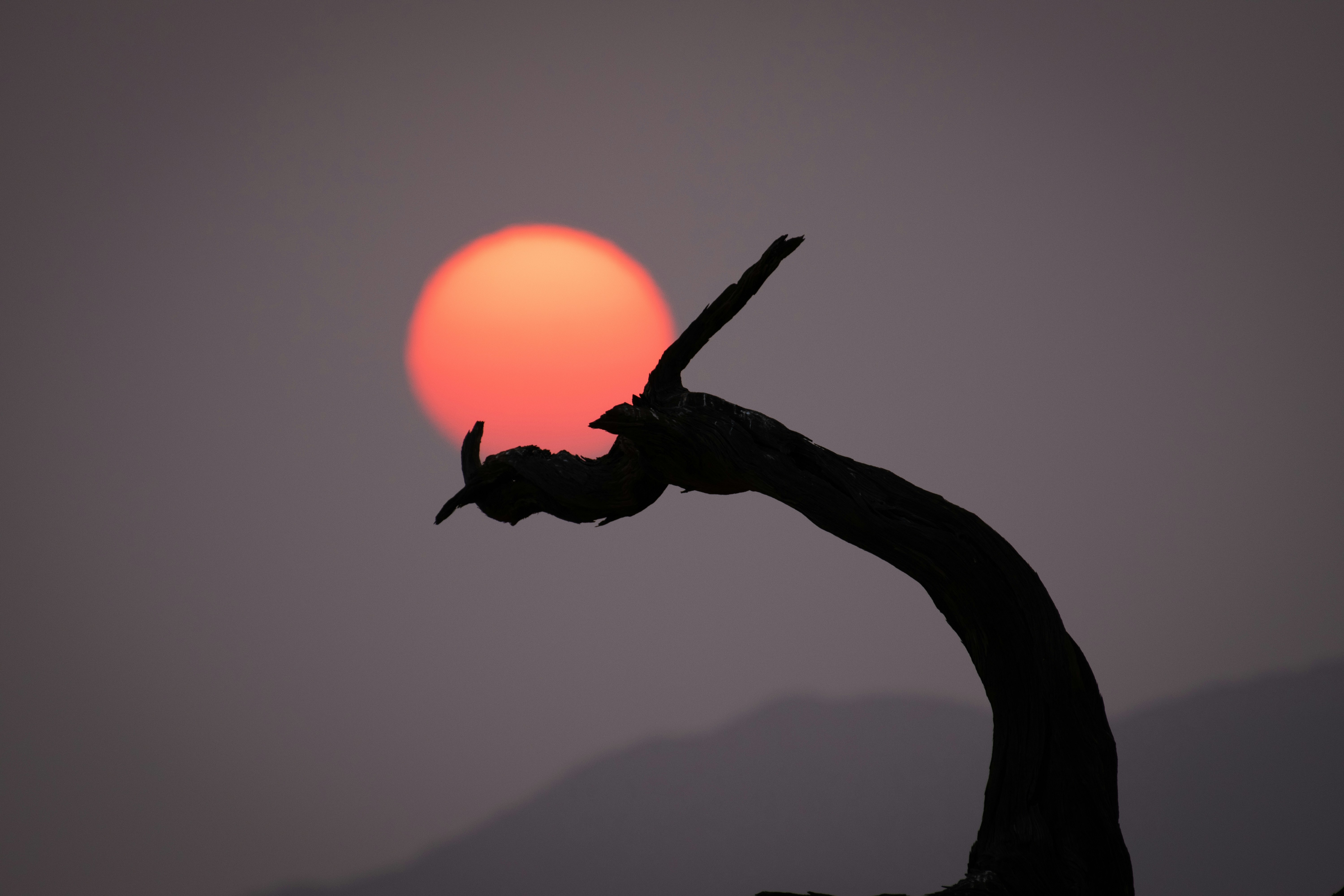 Kanaan Desert Retreat, Namibia