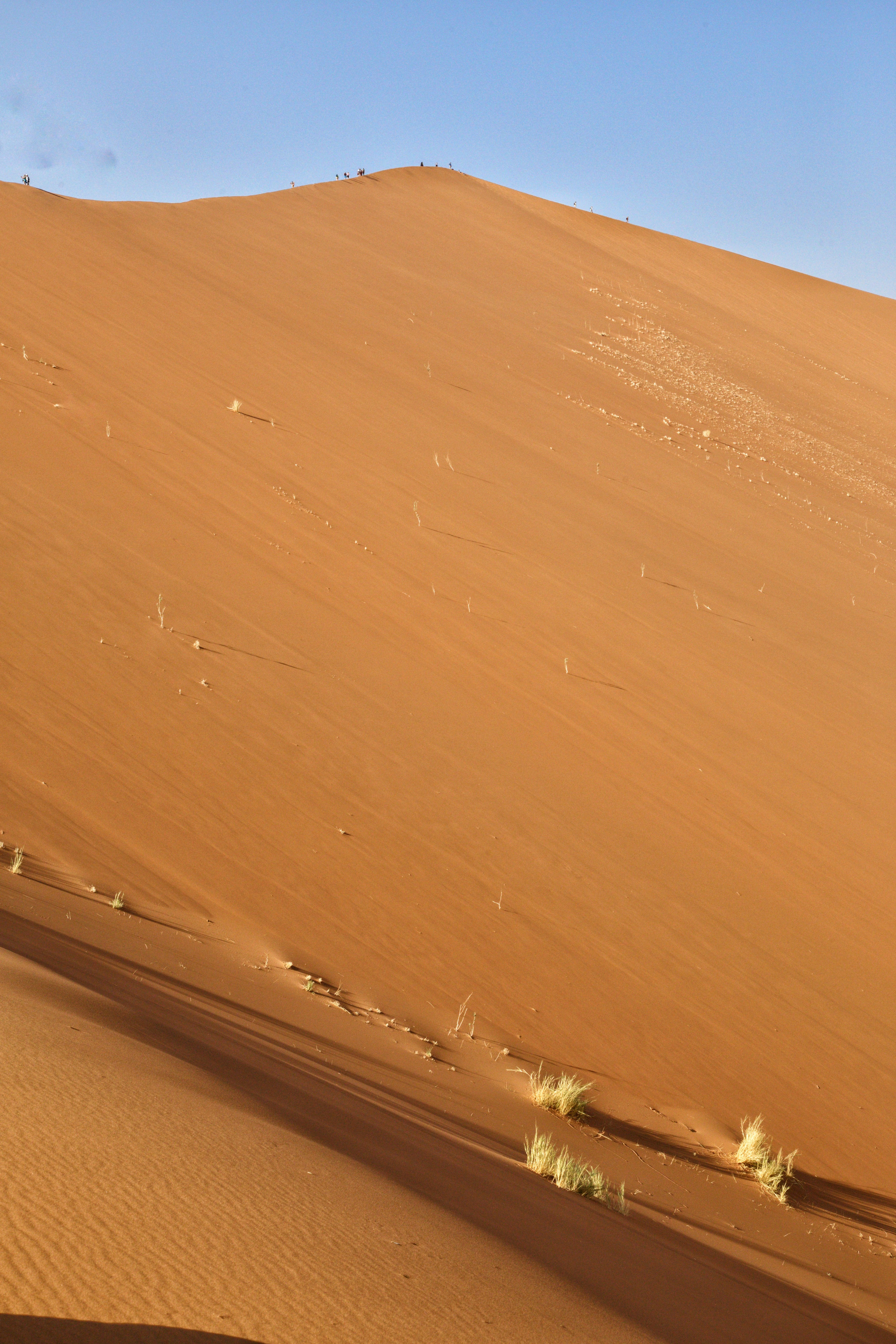 Dune in the namib desert
