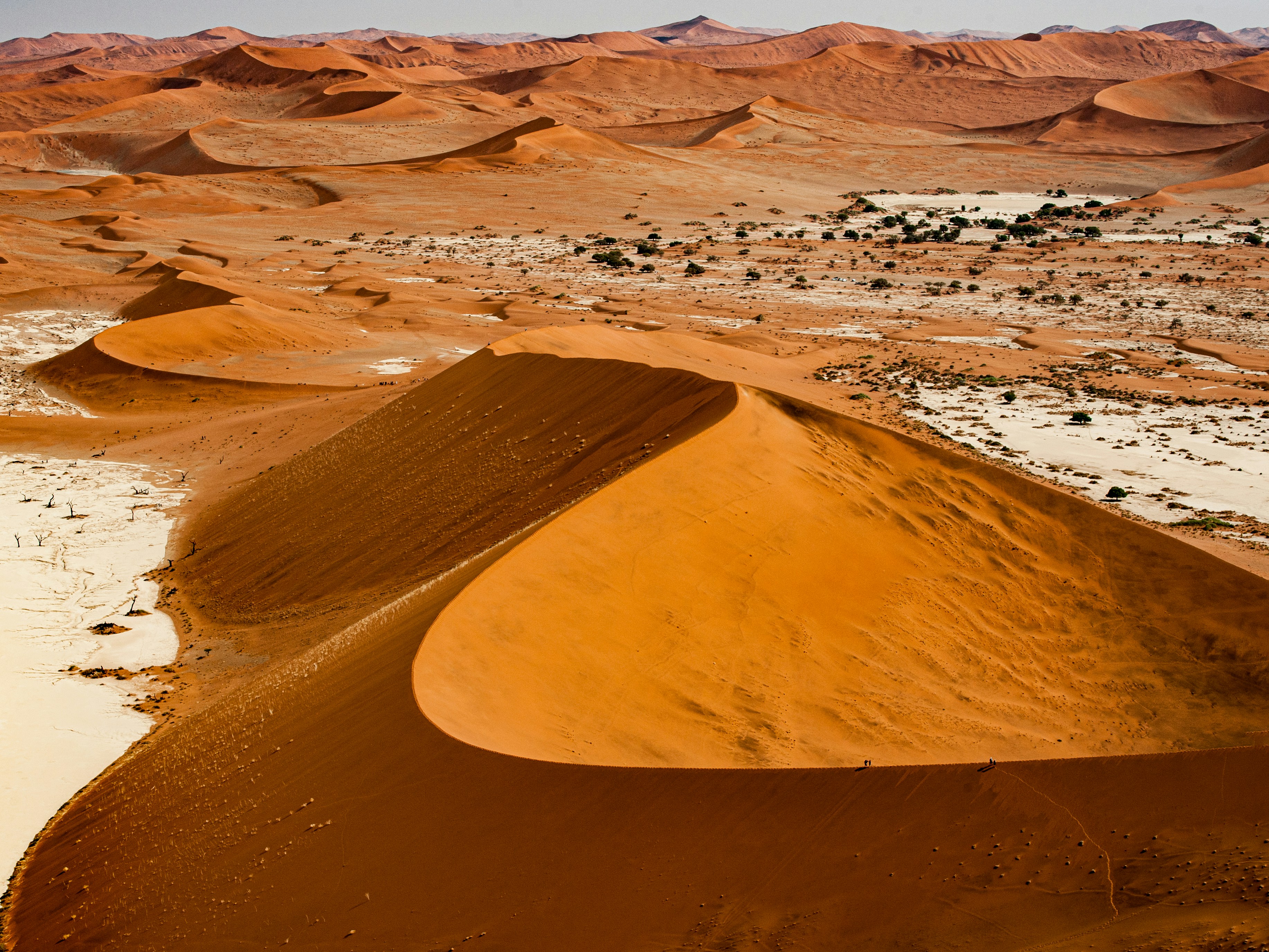 Namib Desert