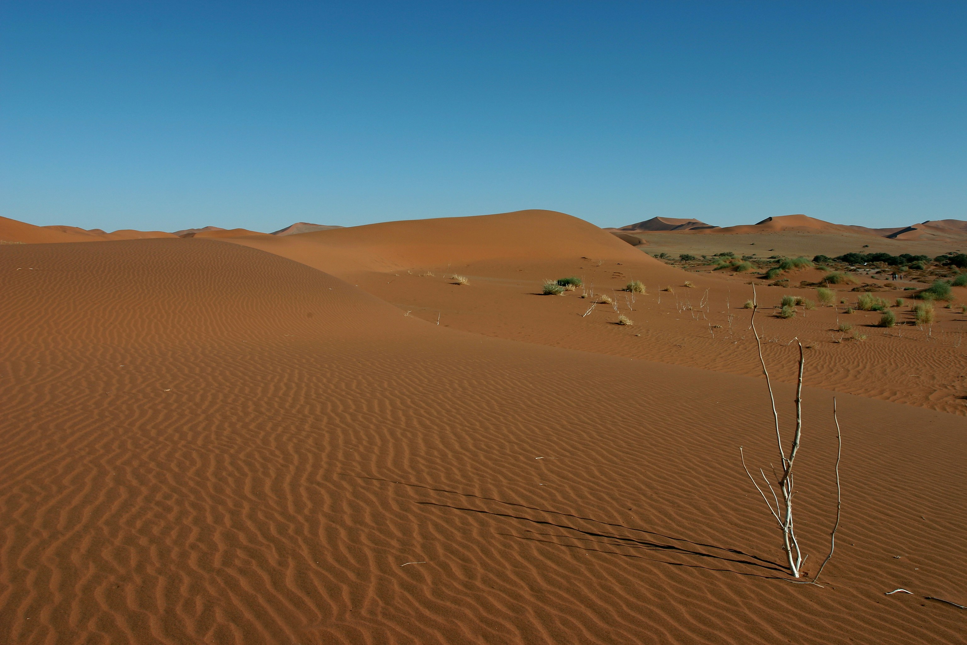 Namib Desert