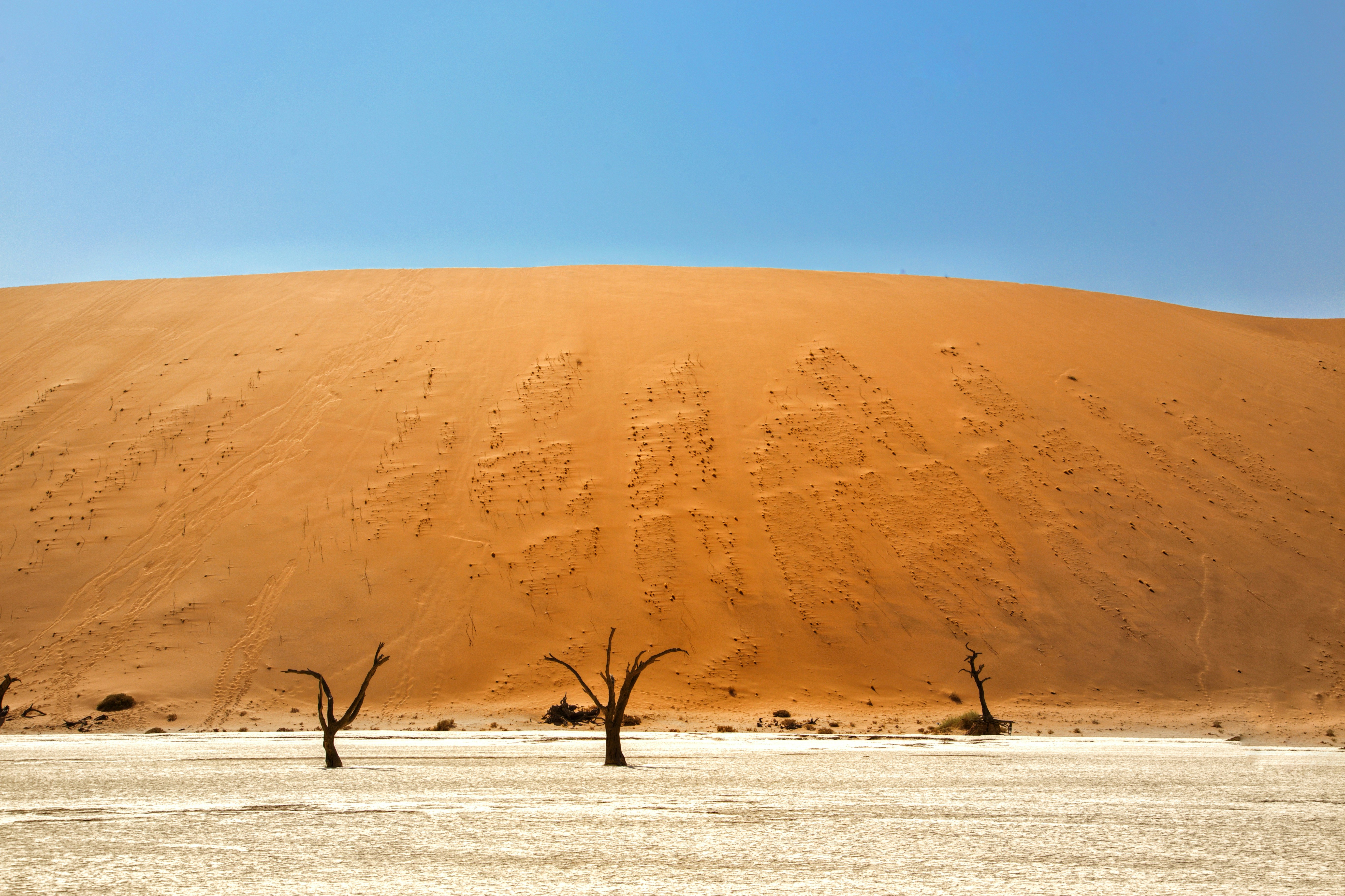 Dune landscape in the Namib desert