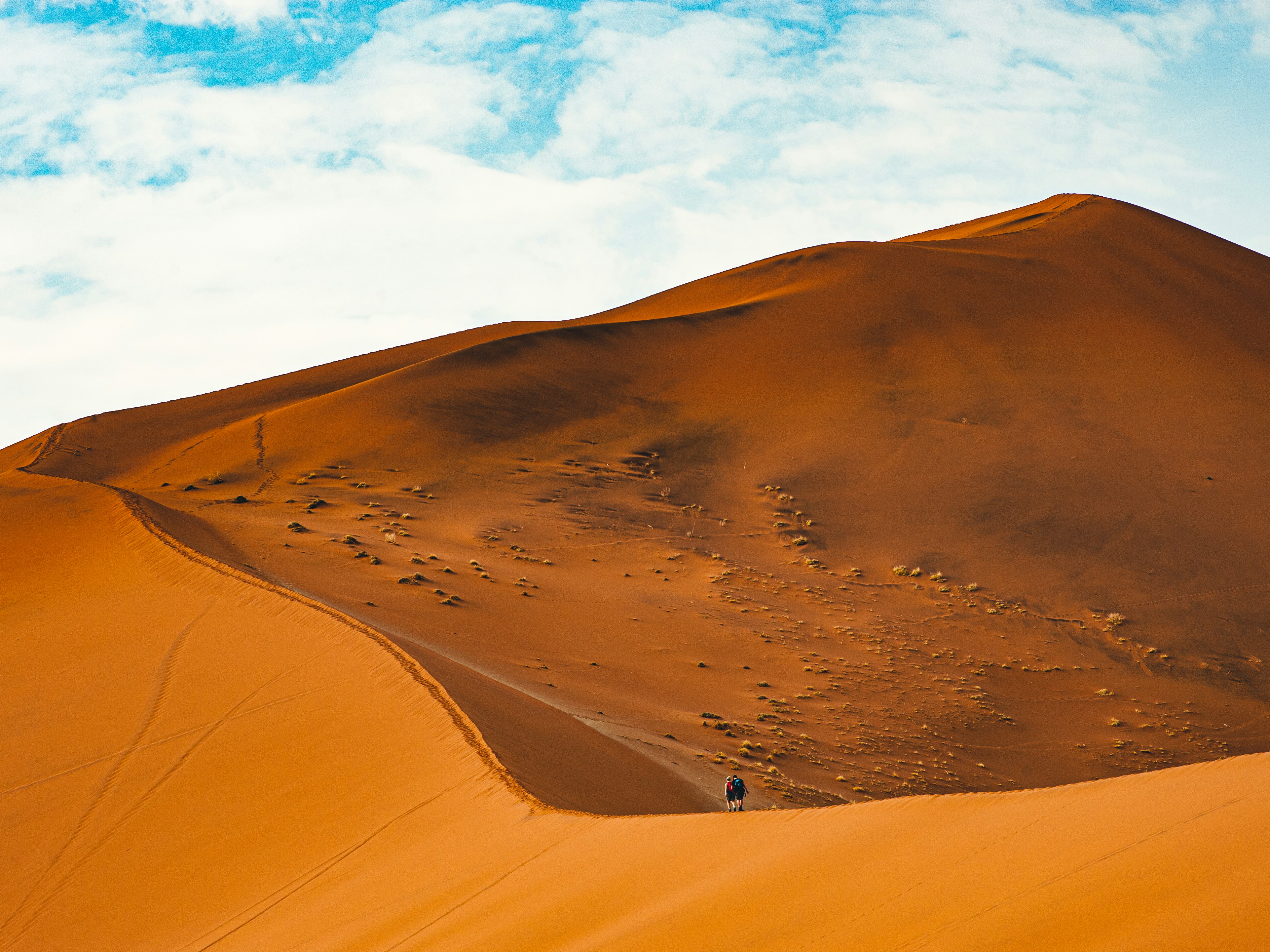 Namib Desert