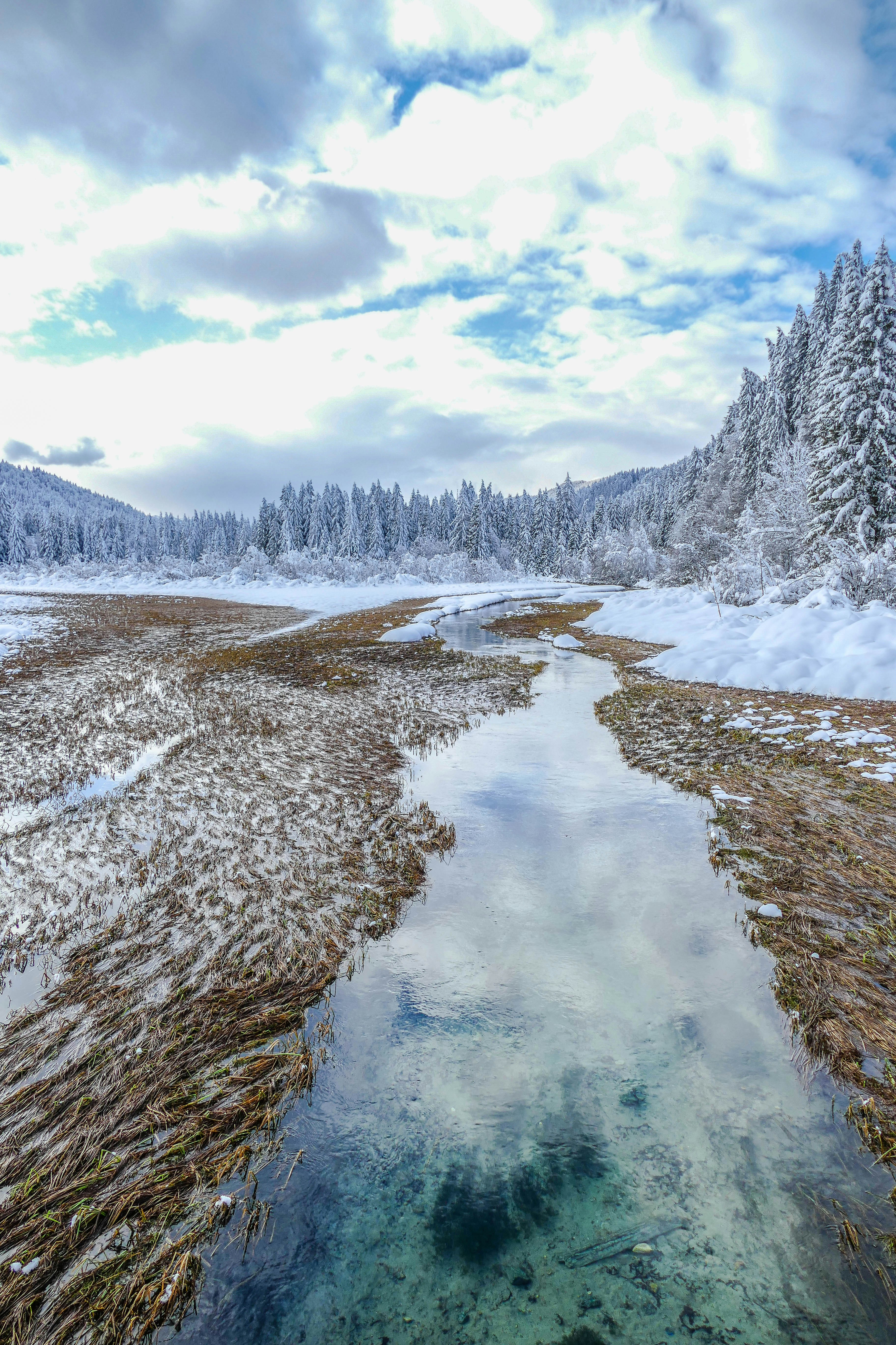 Zelenci, Kranjska Gora, Slovenia