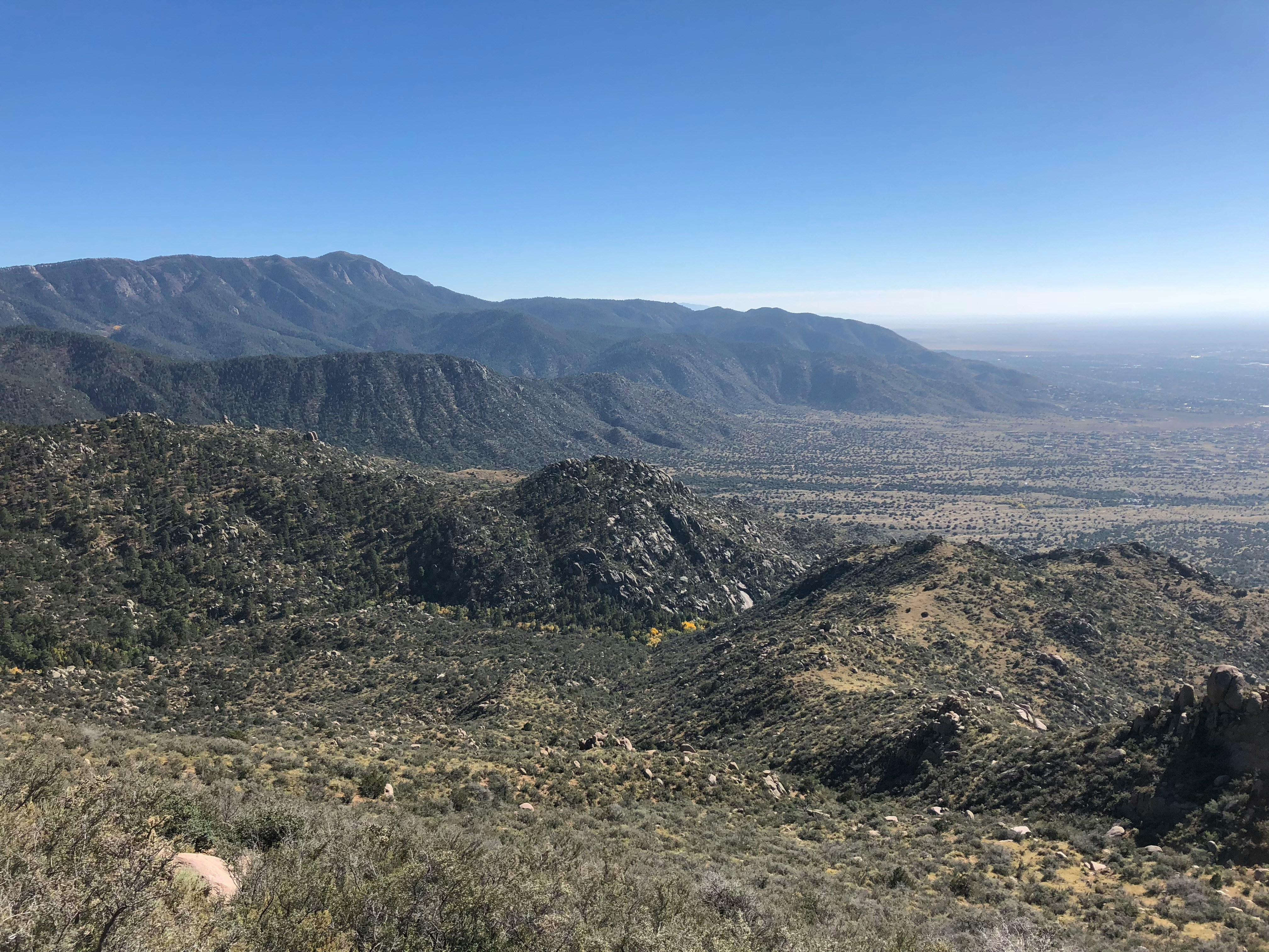 Albuquerque, NM, USA