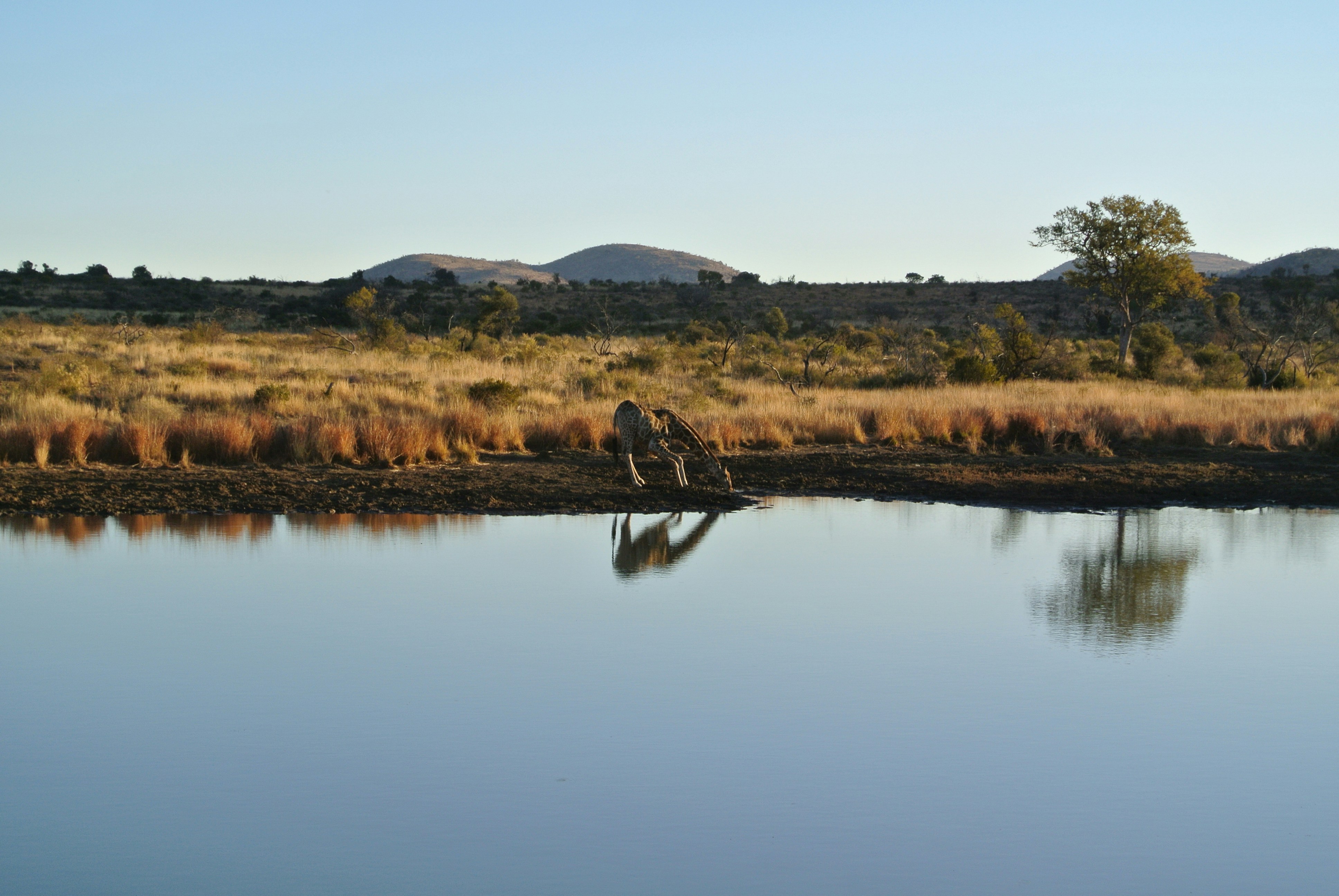 Kariega Game Reserve, Grahamstown, South Africa