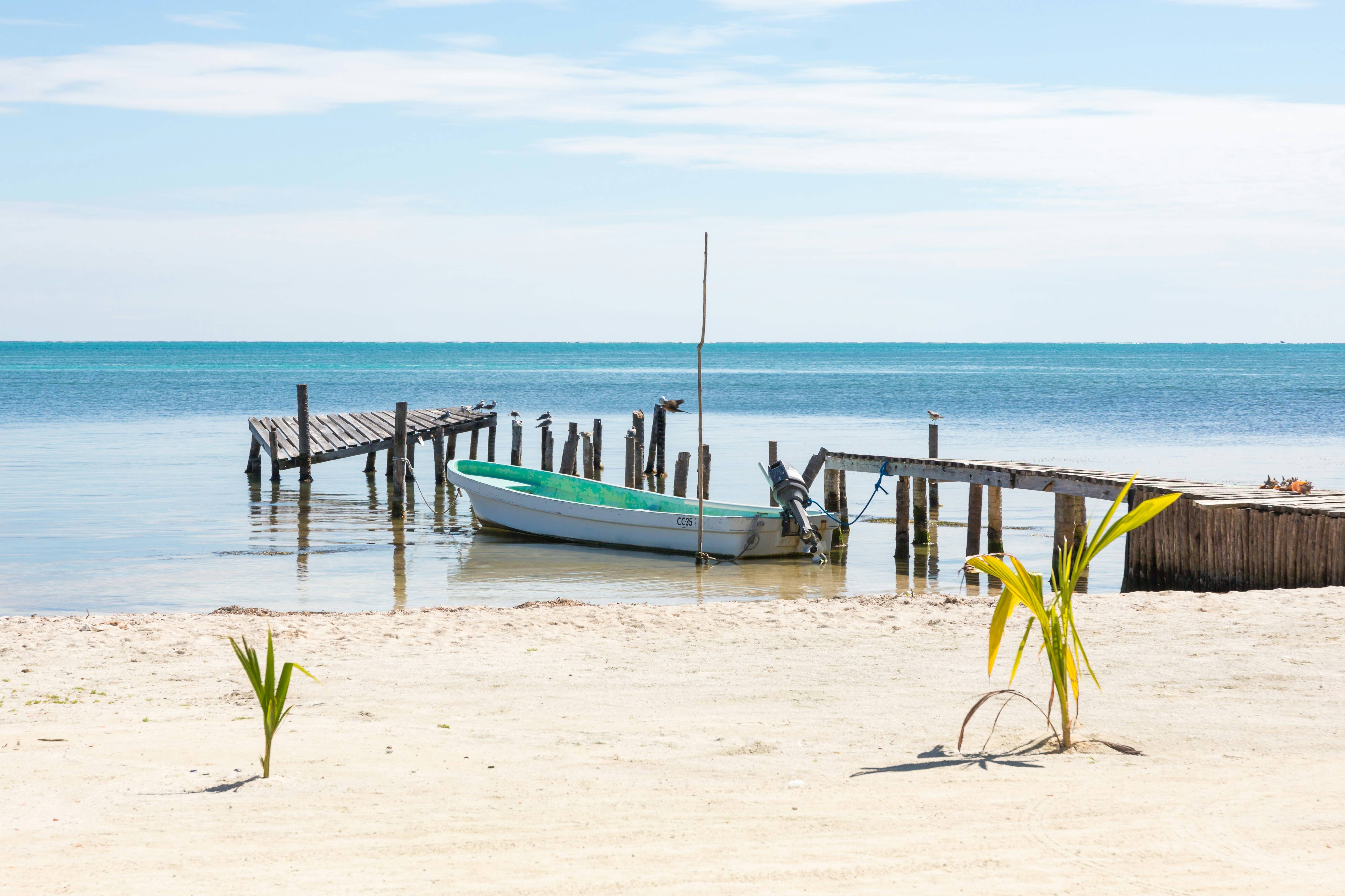 A boat and baby palmtrees, Caye Caulker, Belize