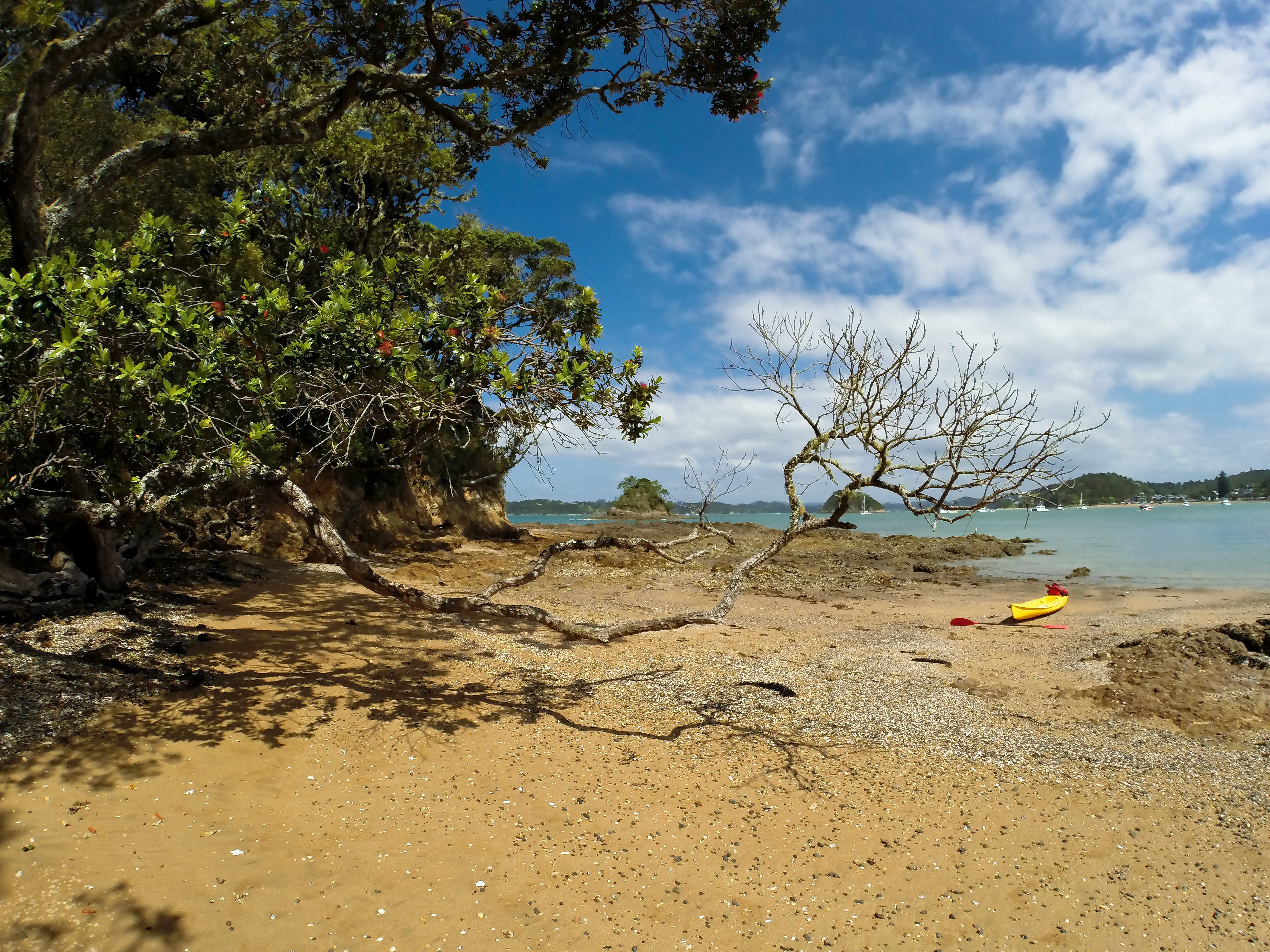Taking a break while kayaking on a small uninhabited island, Paihia, New Zealand
