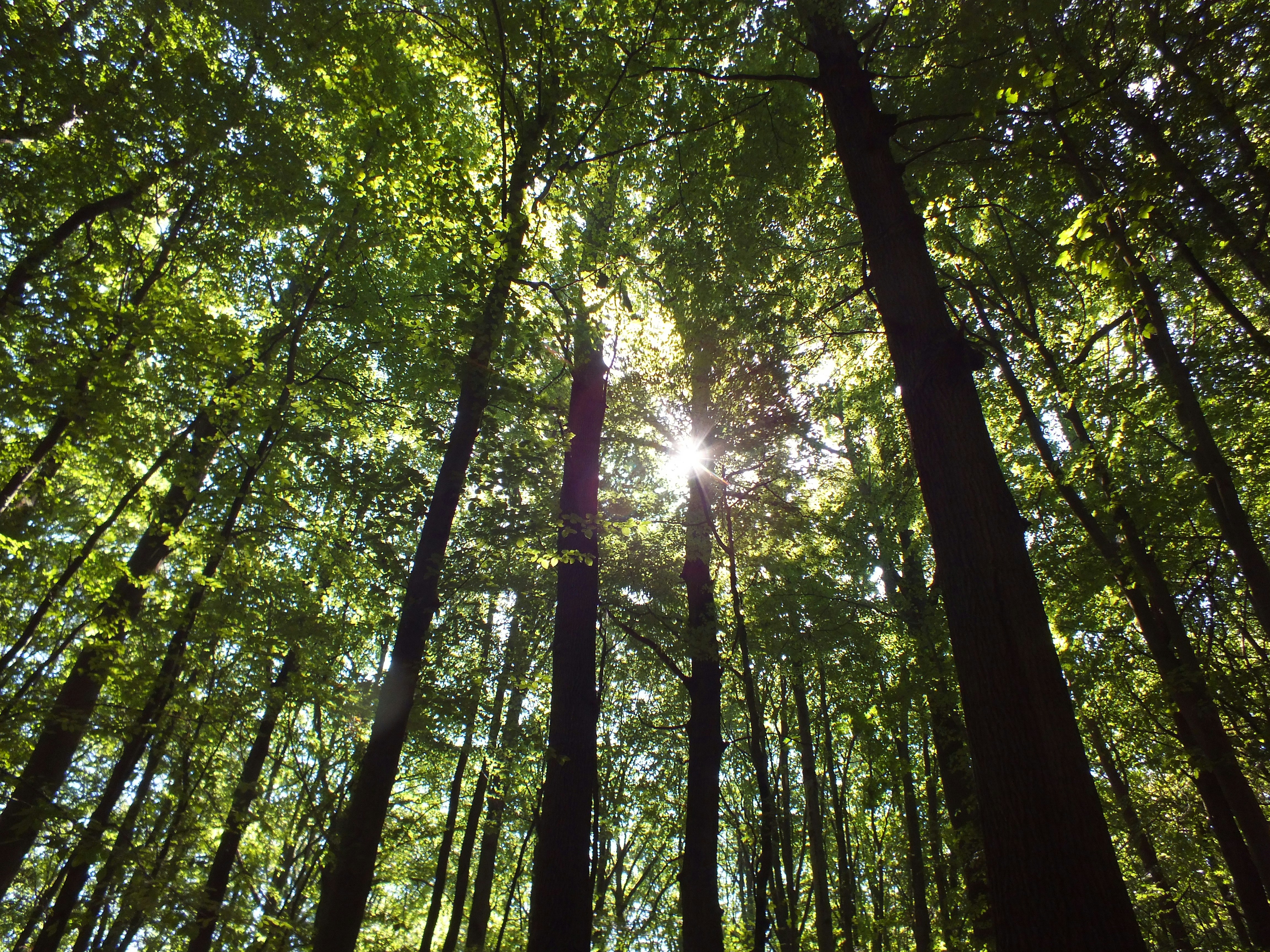 Wisełka, Wolin island, Poland