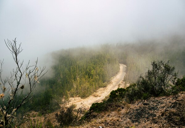 Col des Boeufs, La Possession, Réunion