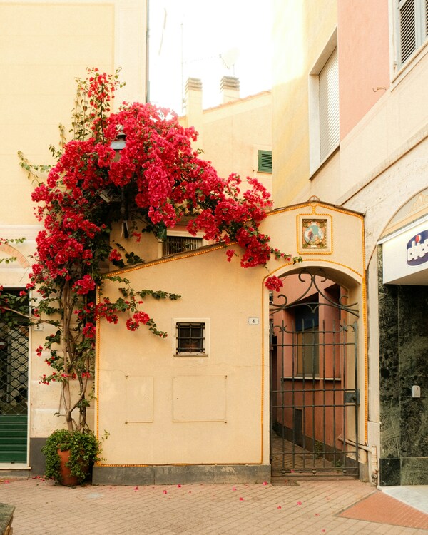 Rapallo, Metropolitan City of Genoa, Italy