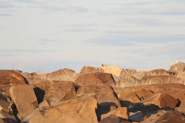 Churchill, MB, Canada