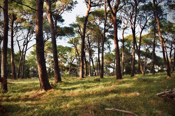Mali Losinj, Croatia