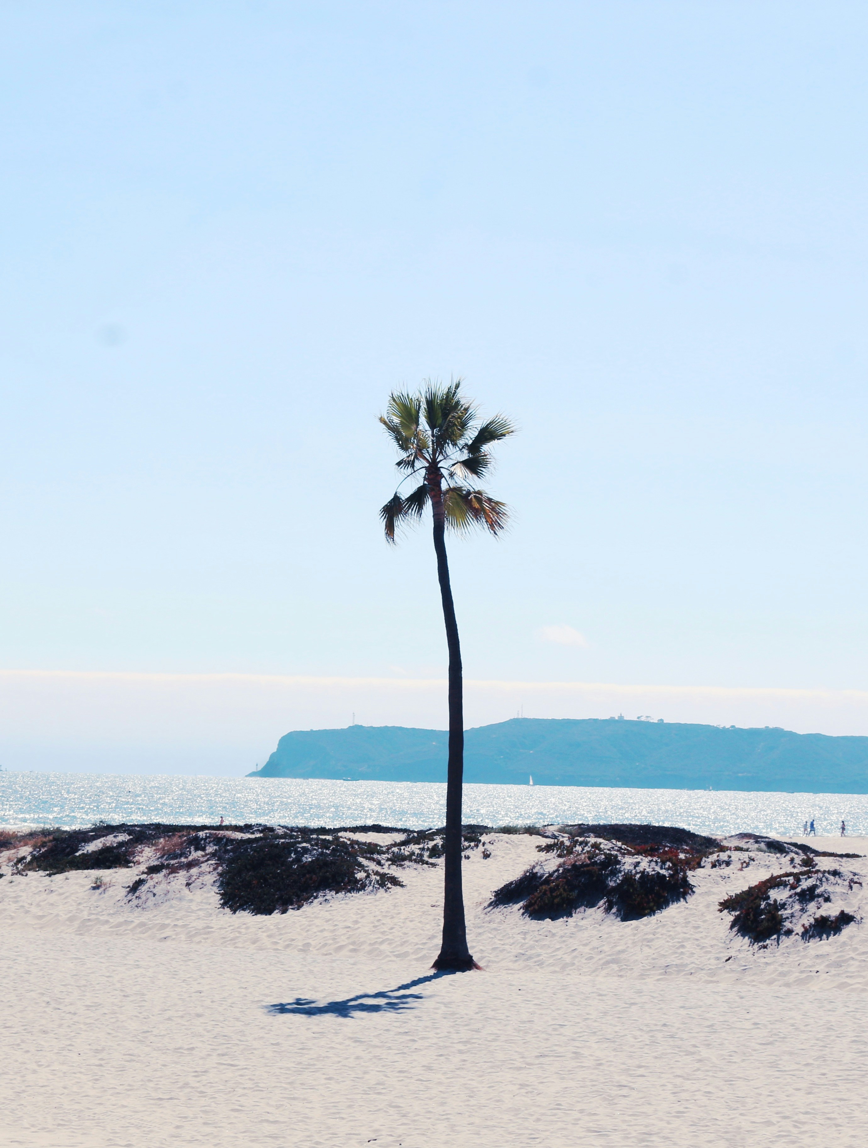 Coronado Beach, Coronado, CA, USA