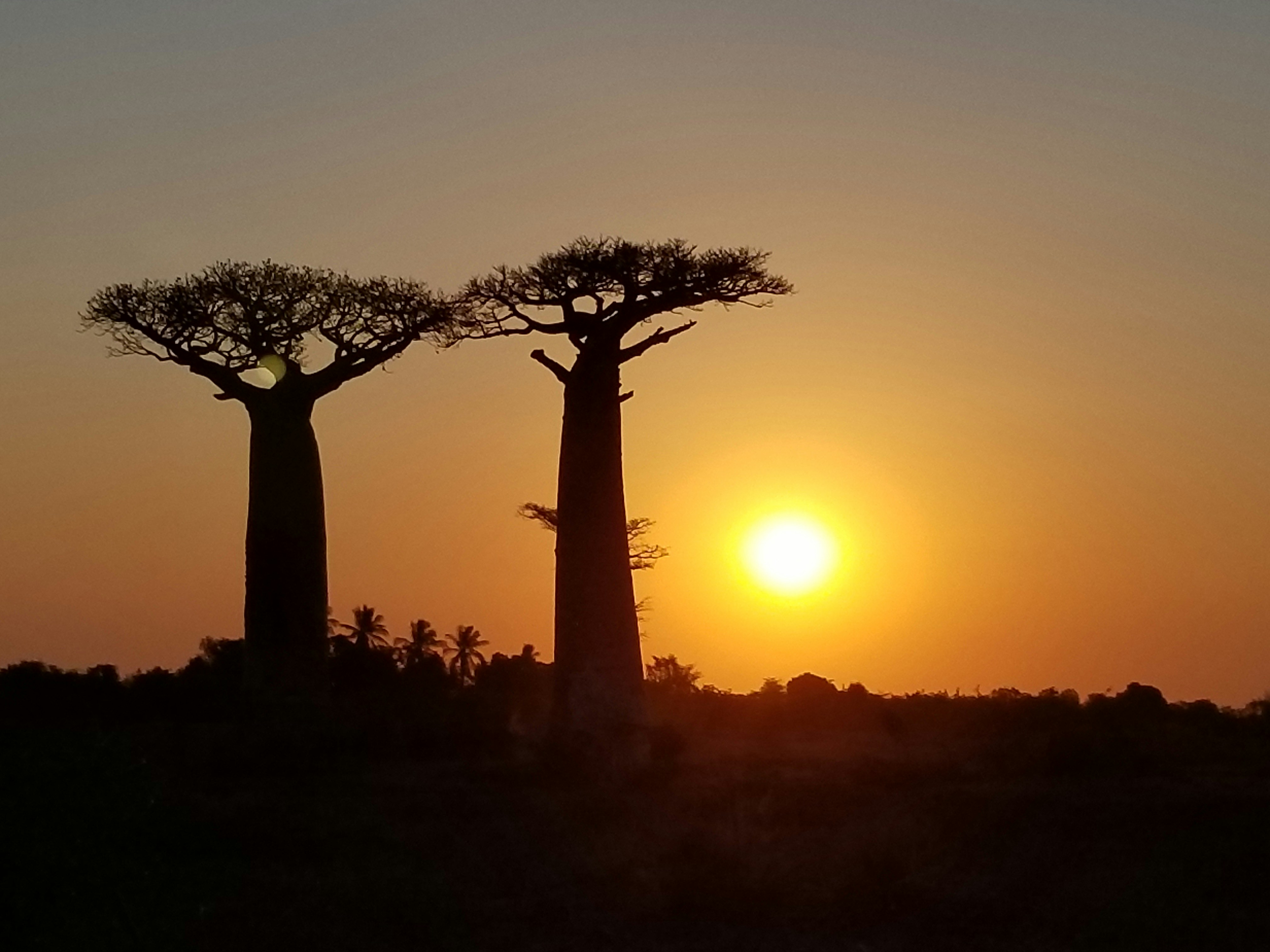 Morondava, Madagascar
