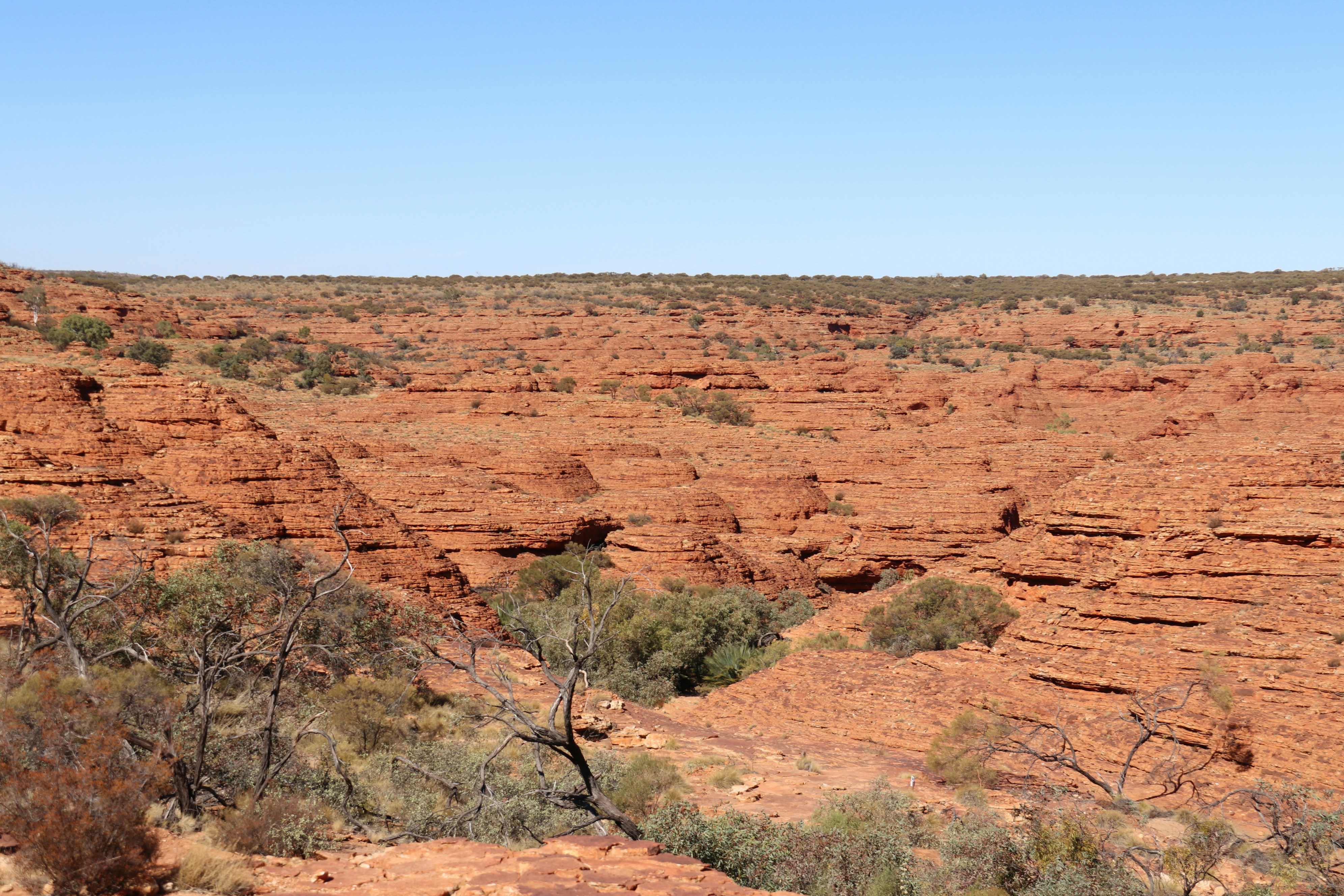 Kings Canyon, Petermann, NT, Australia