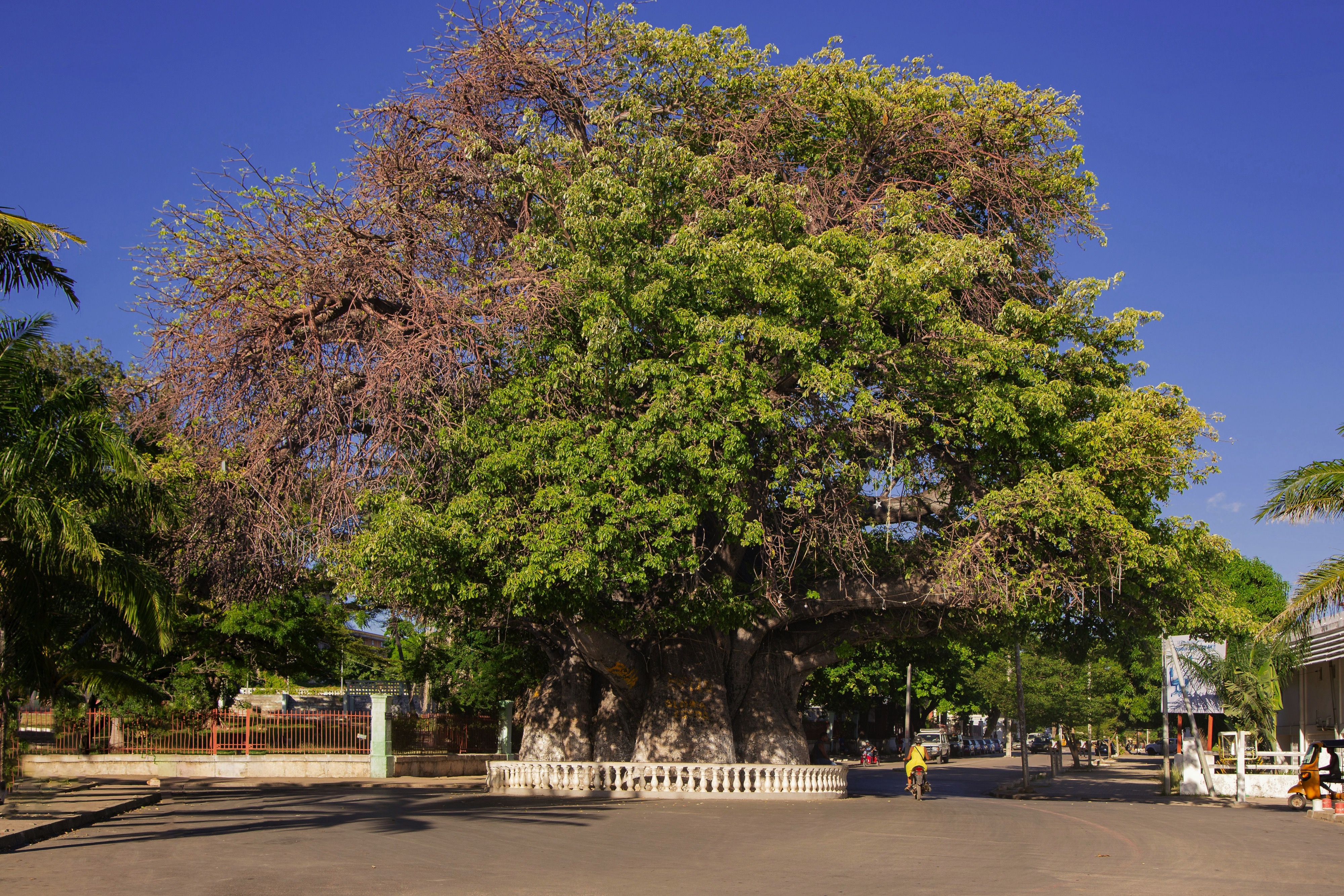 Mahajanga, Madagascar