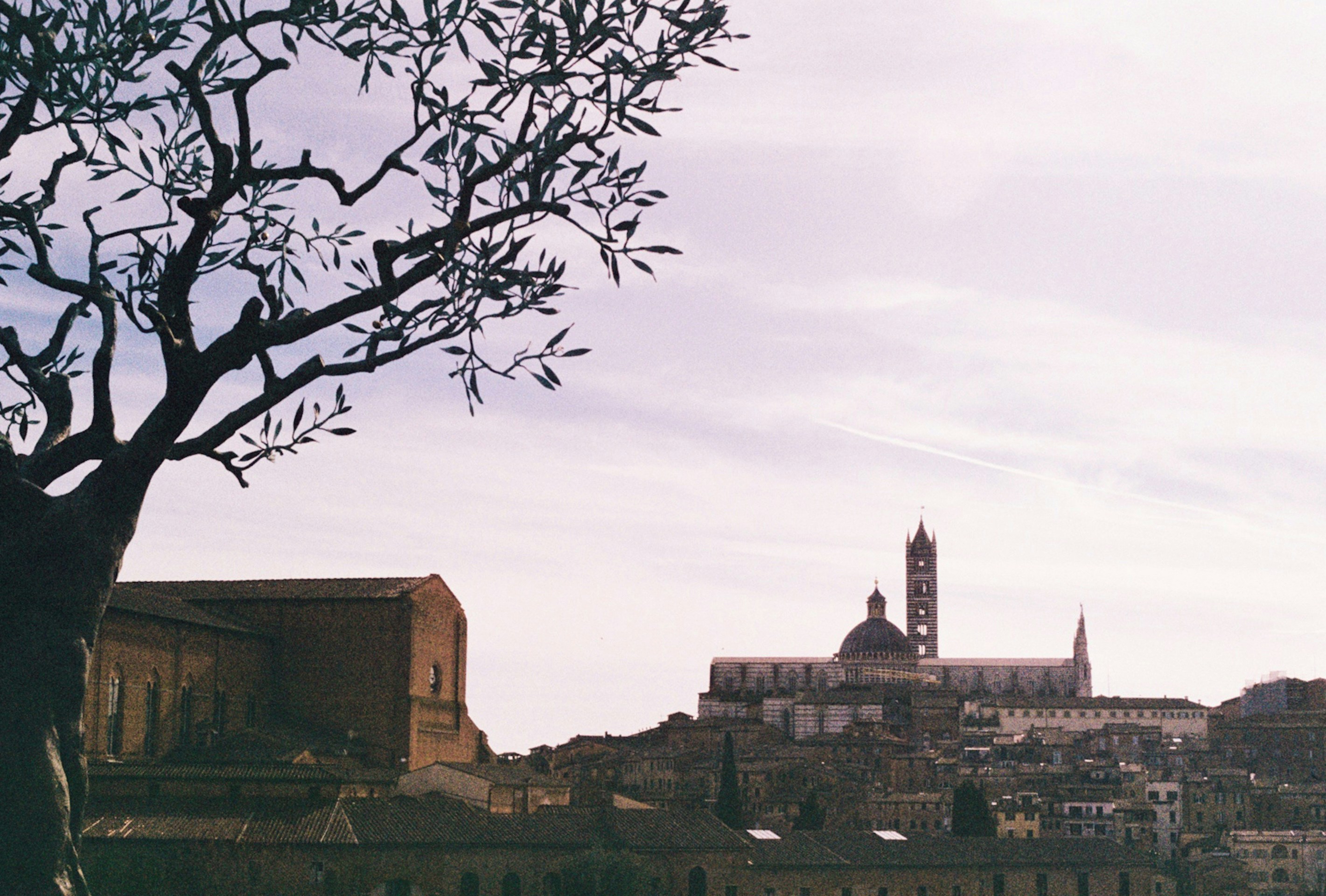 Siena, Province of Siena, Italy