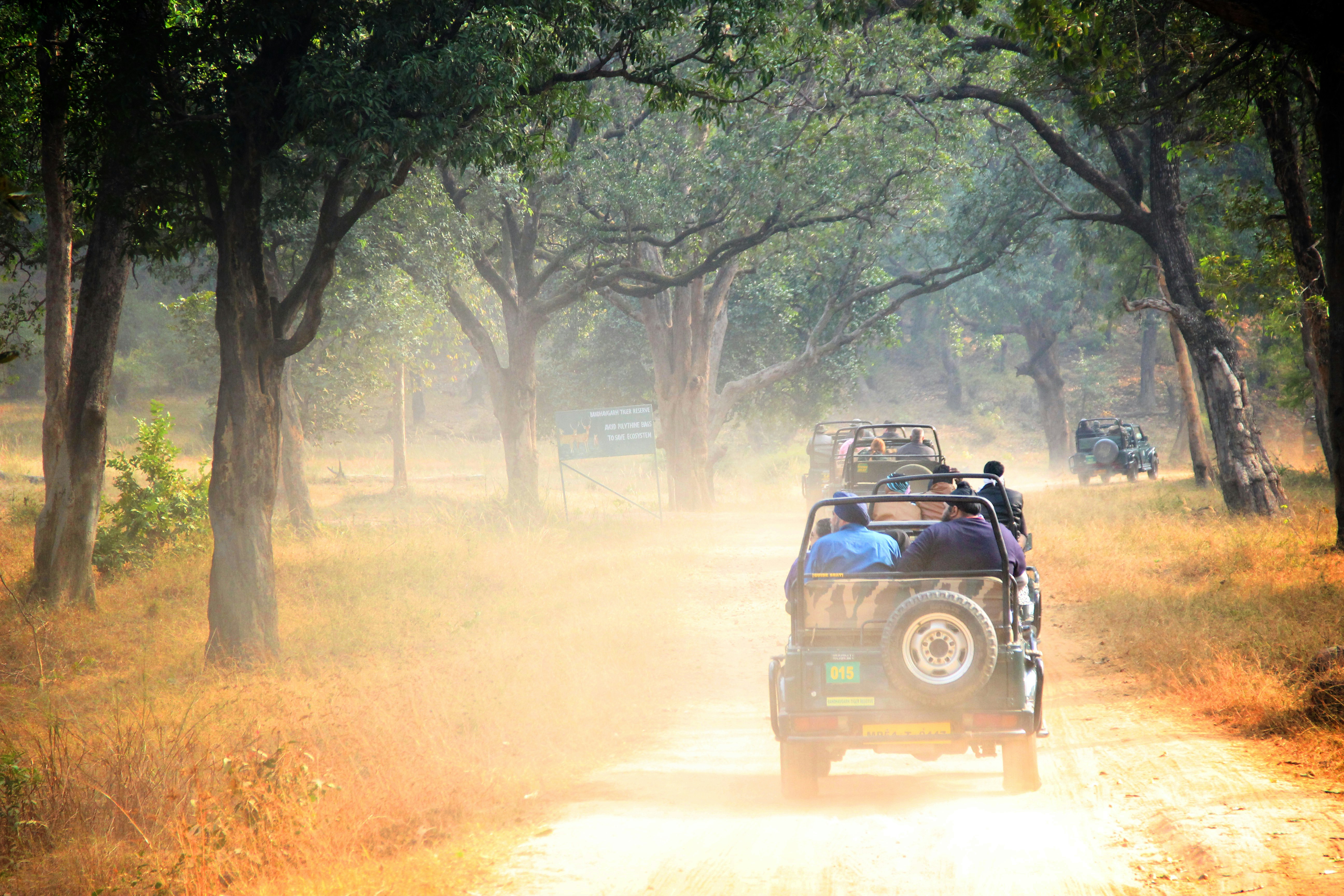 Bandhavgarh National Park, Umaria , India
