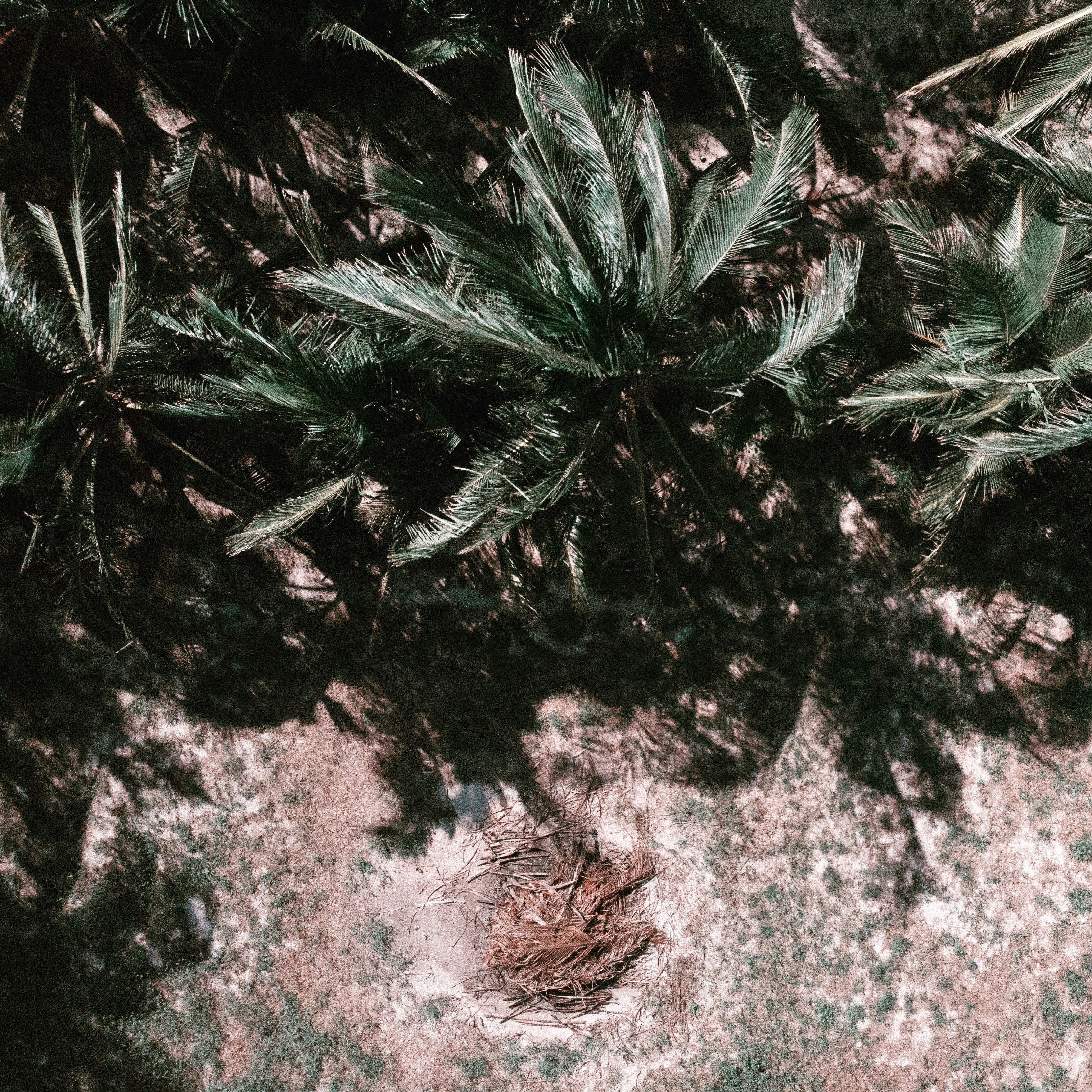 Mérida, Yuc., México