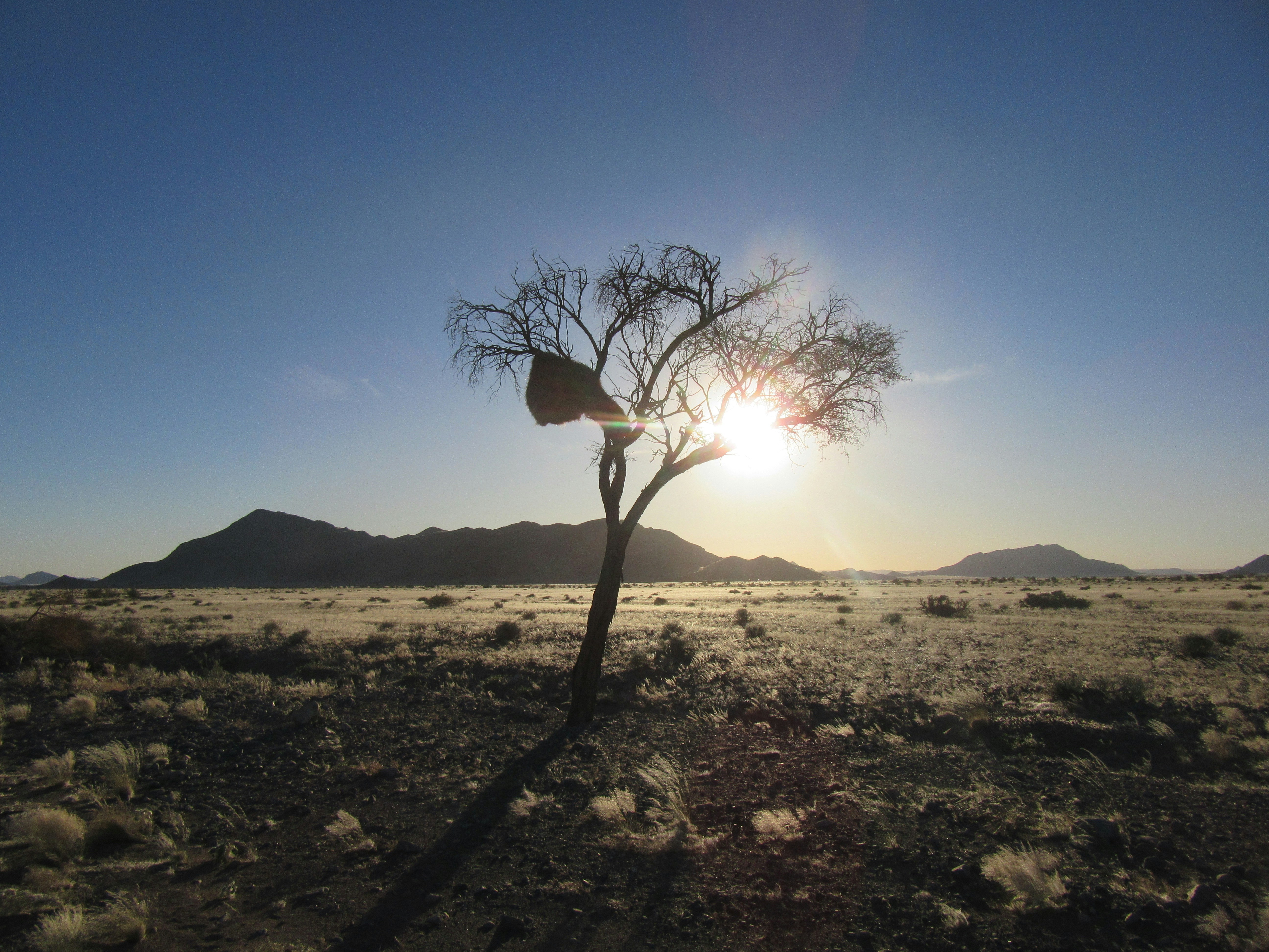Sesriem, Namibia