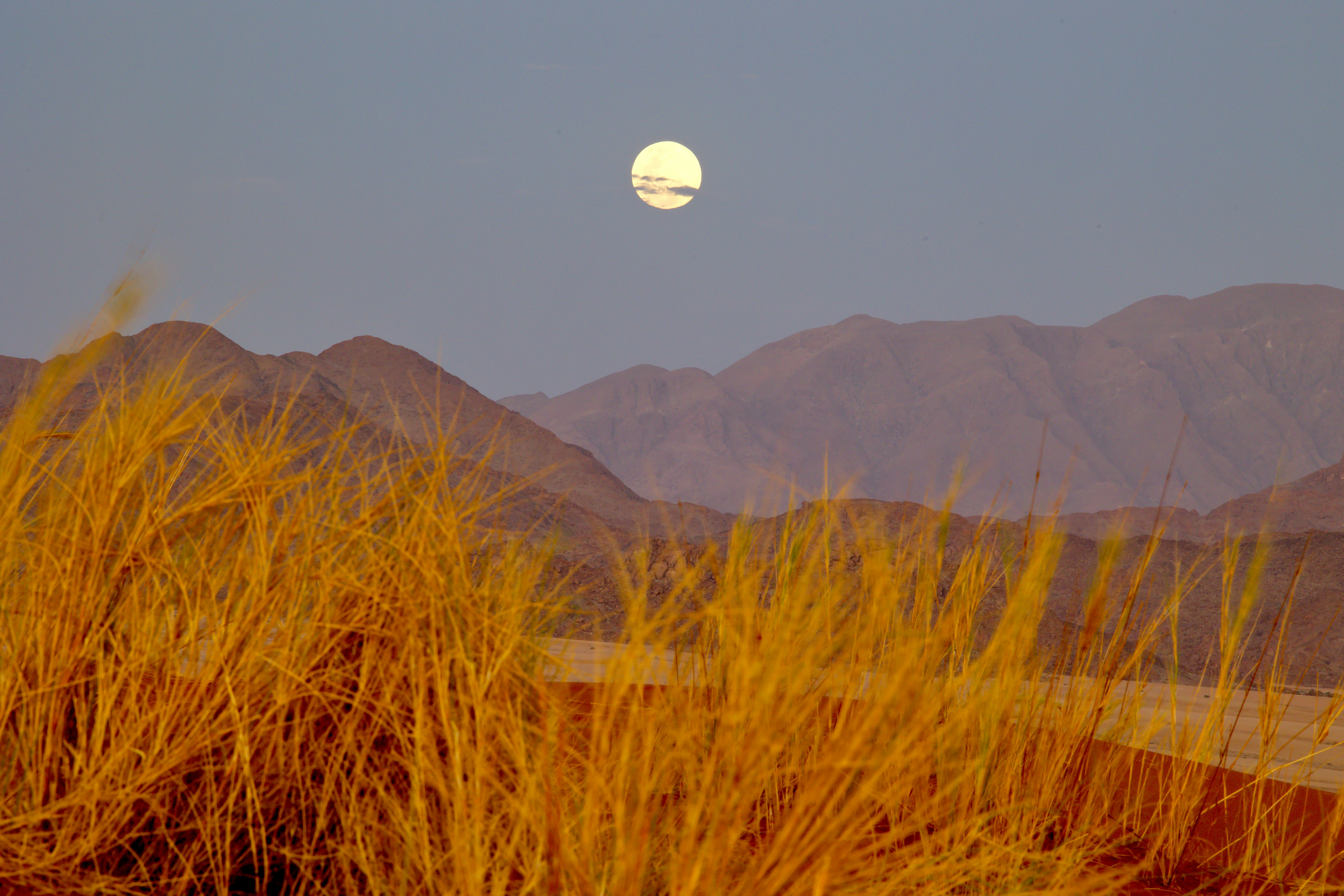 Elim Dune, Sesriem, Namibie