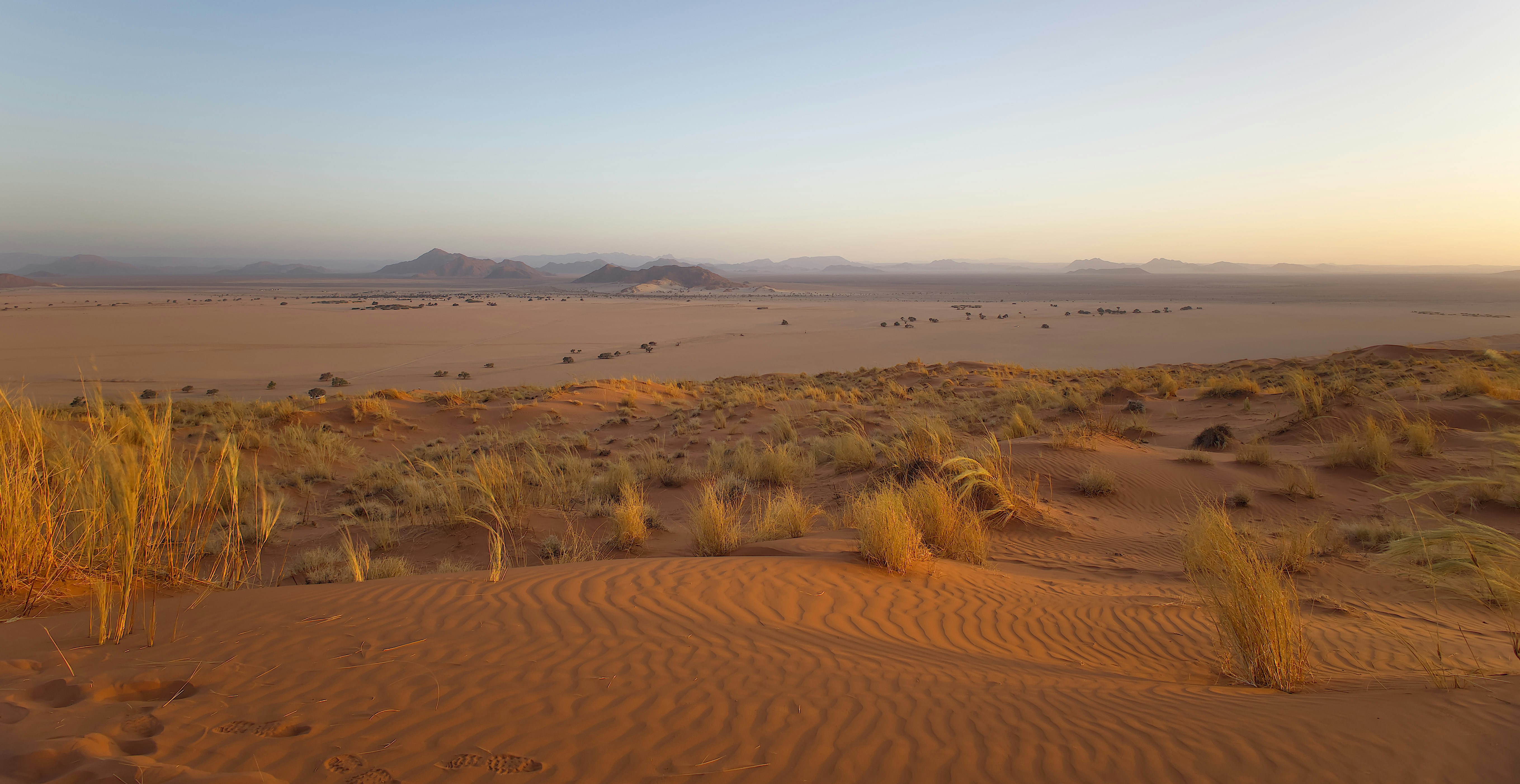 Elim Dune, Sesriem, Namibie