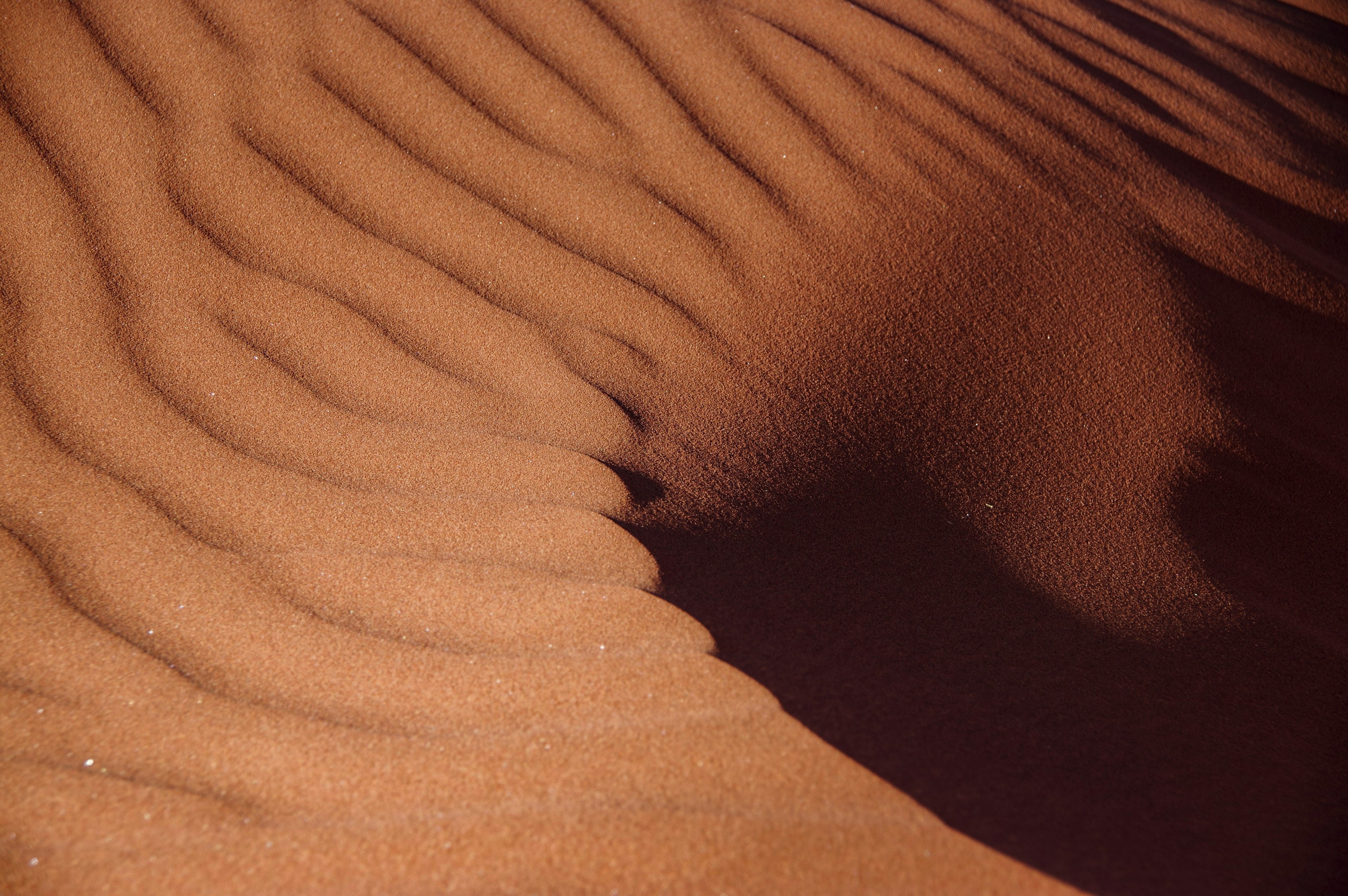 Elim Dune, Sesriem-Canyon, Namibia
