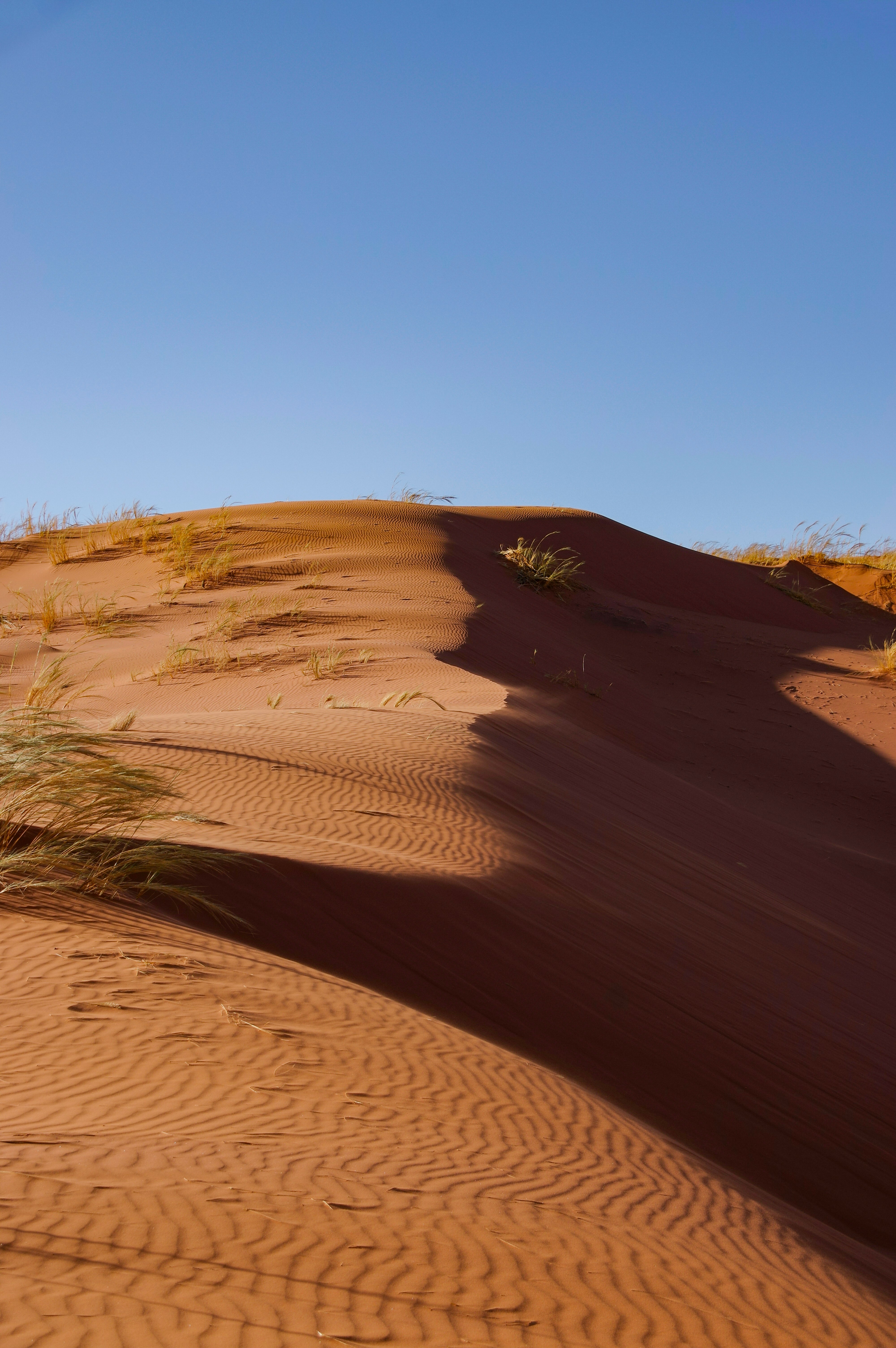Elim Dune, Sesriem-Canyon, Namibia