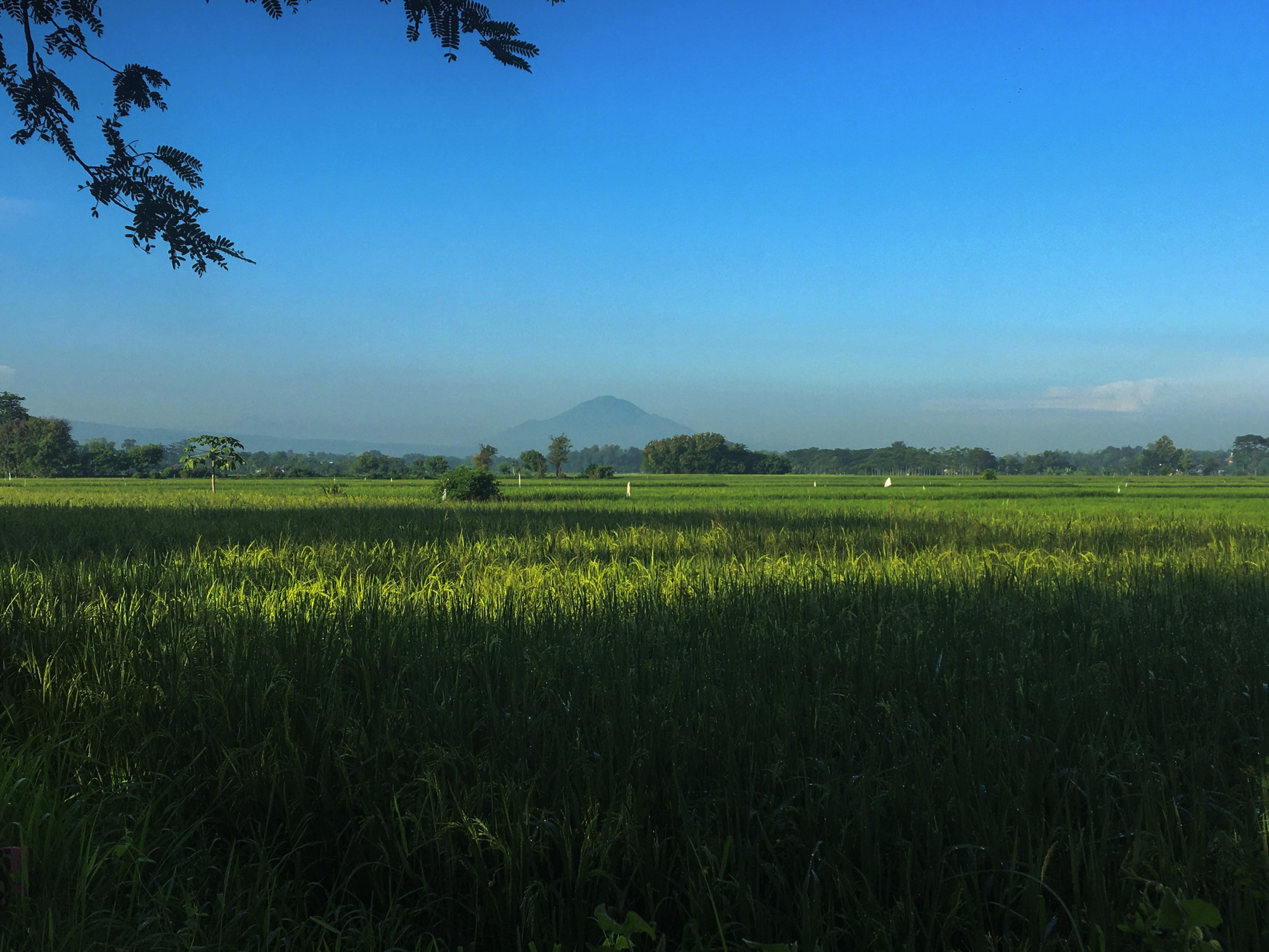 Besuk, Probolinggo, Indonesia