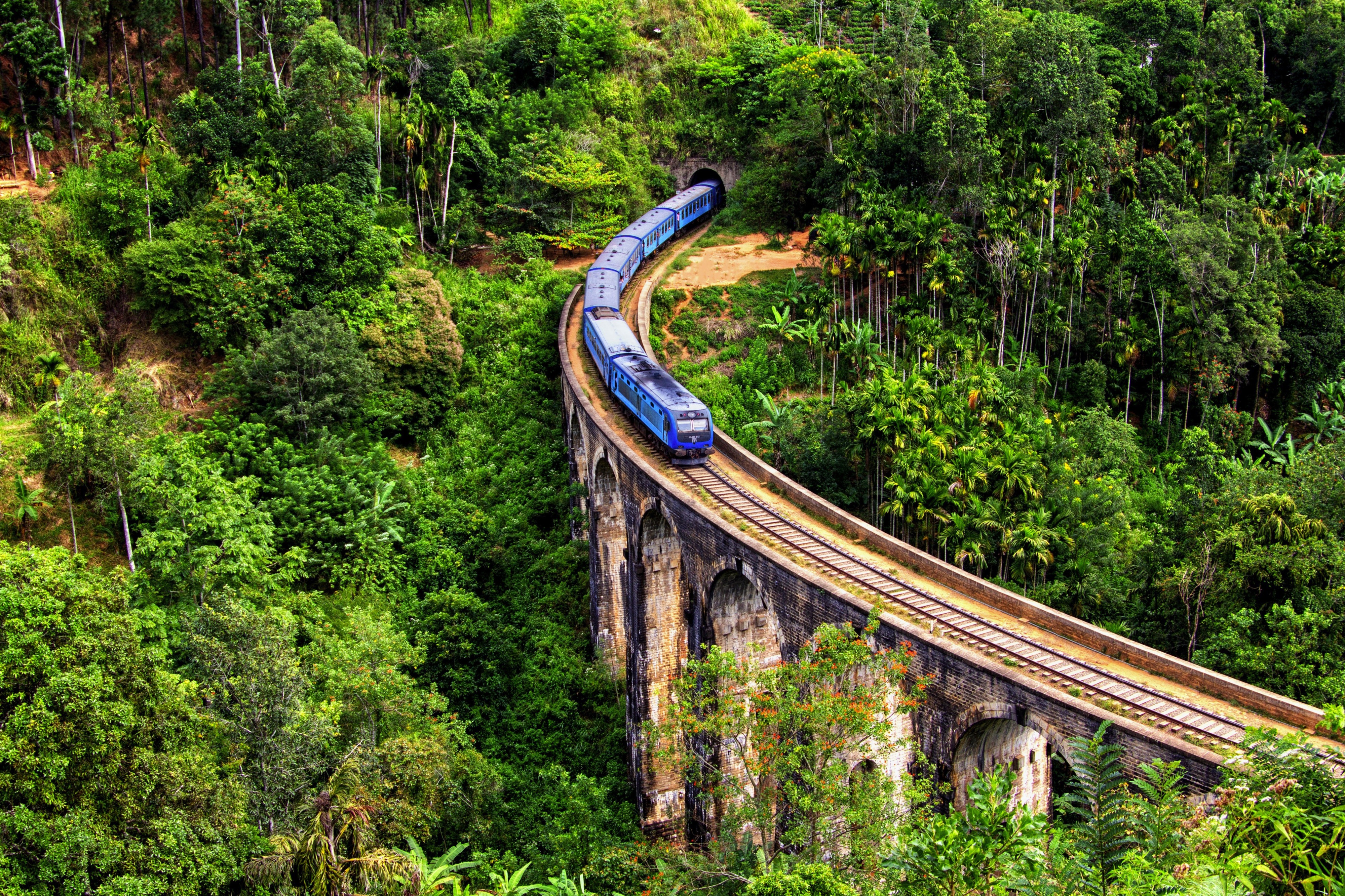 Blue train to Ella, Nine Arch Bridge, Sri Lanka
