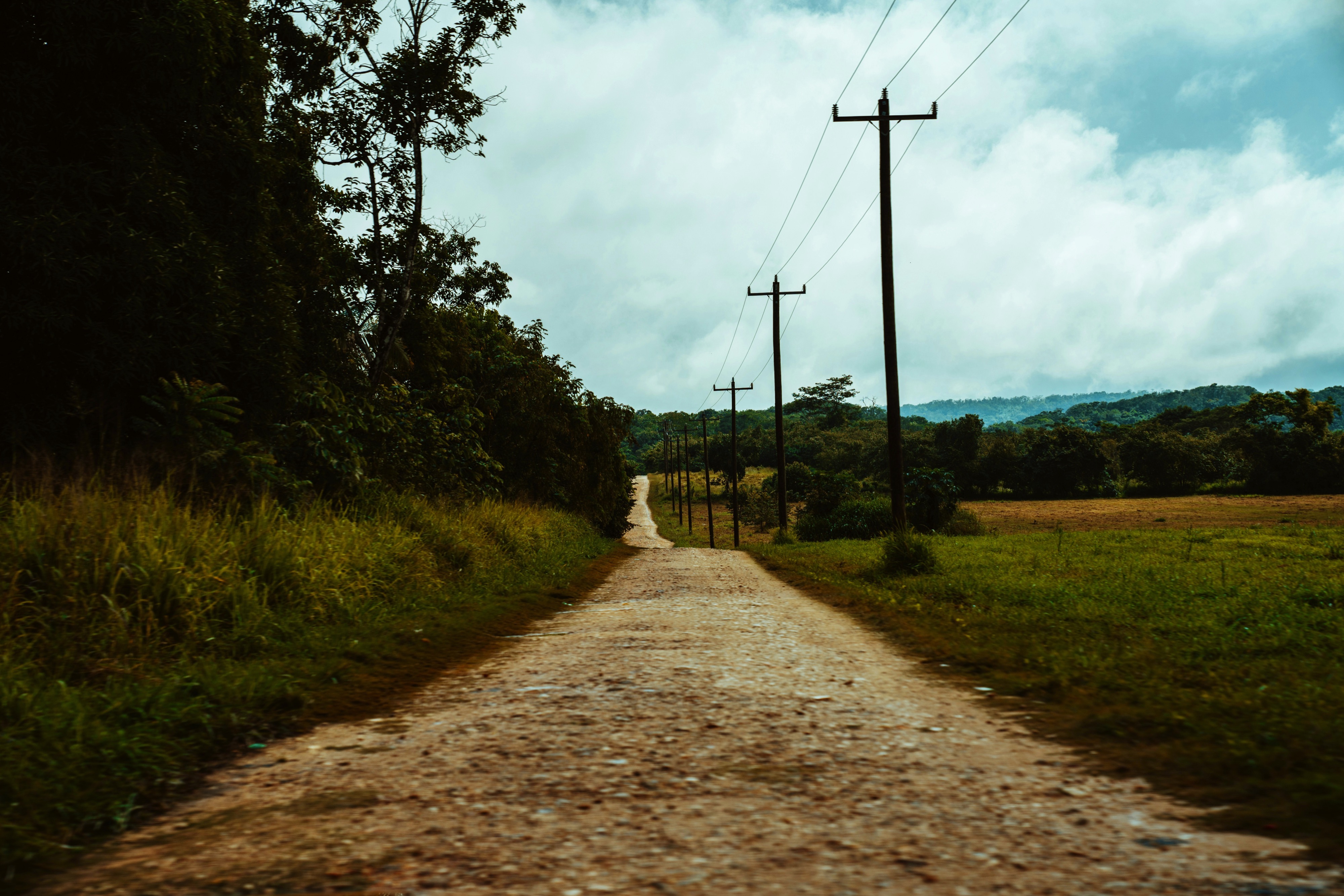 Electric poles along a long dirt road in San Ignacio.