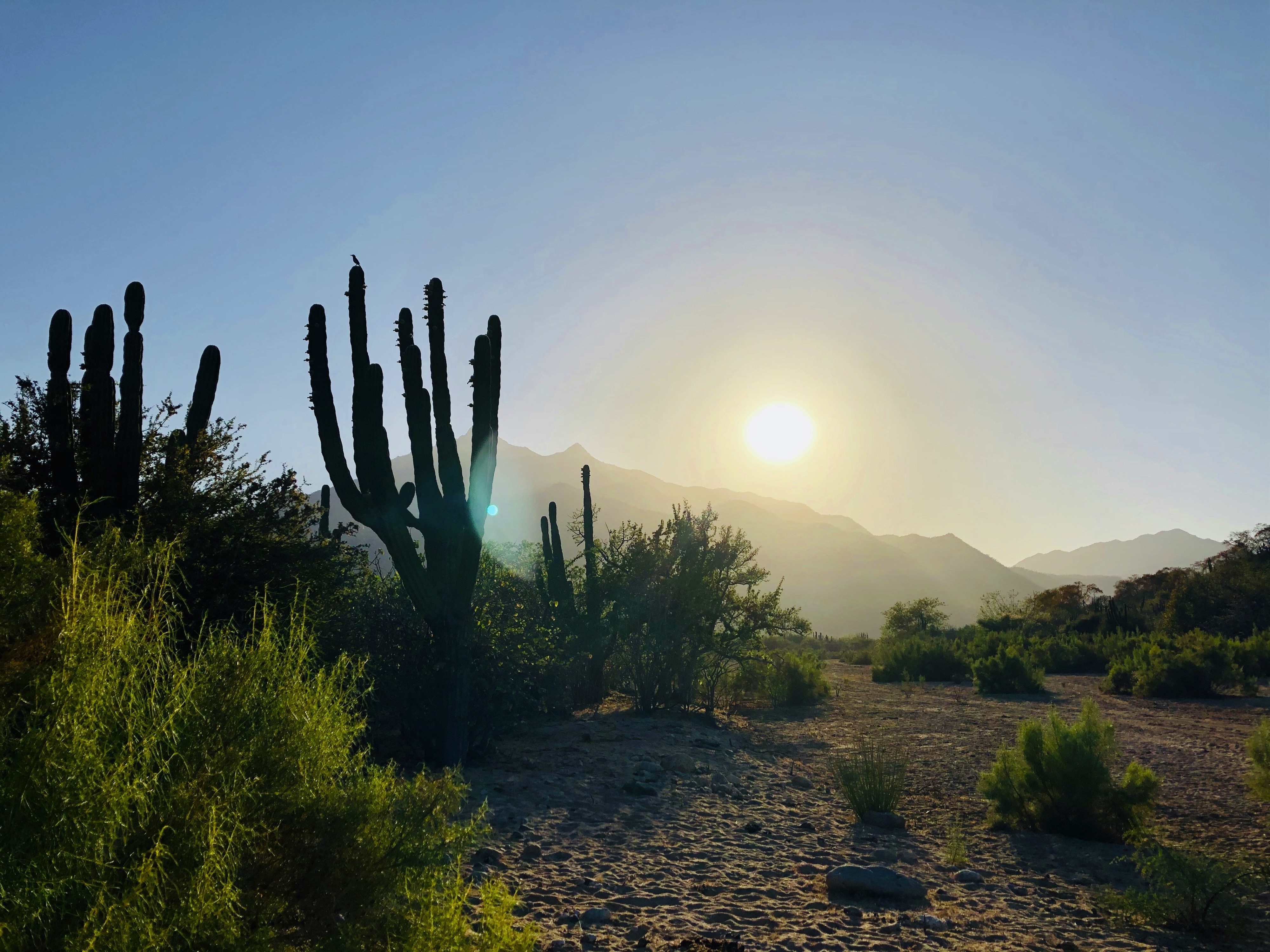 San José del Cabo, San José del Cabo, México
