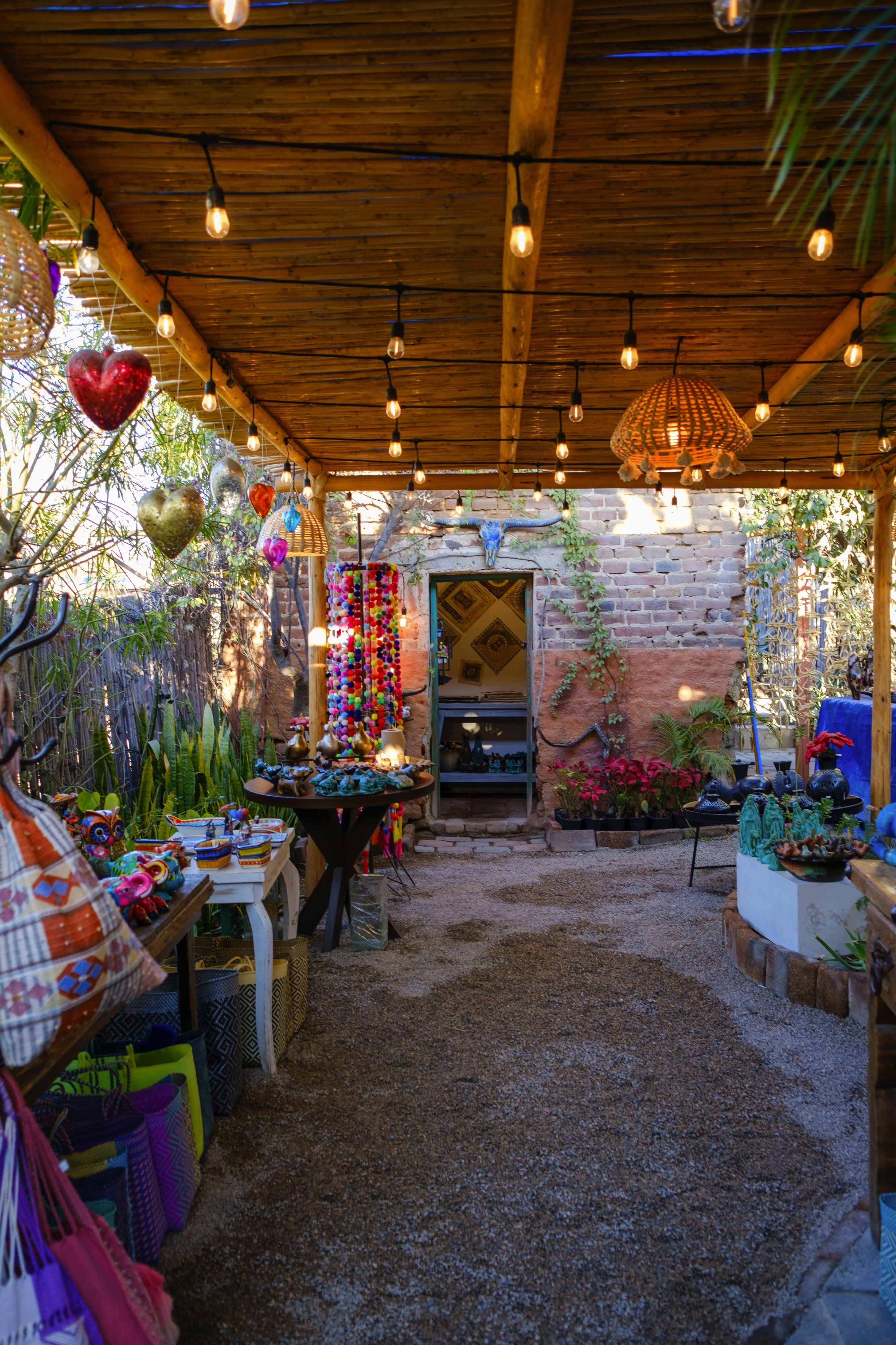 San José del Cabo, BCS, Mexico