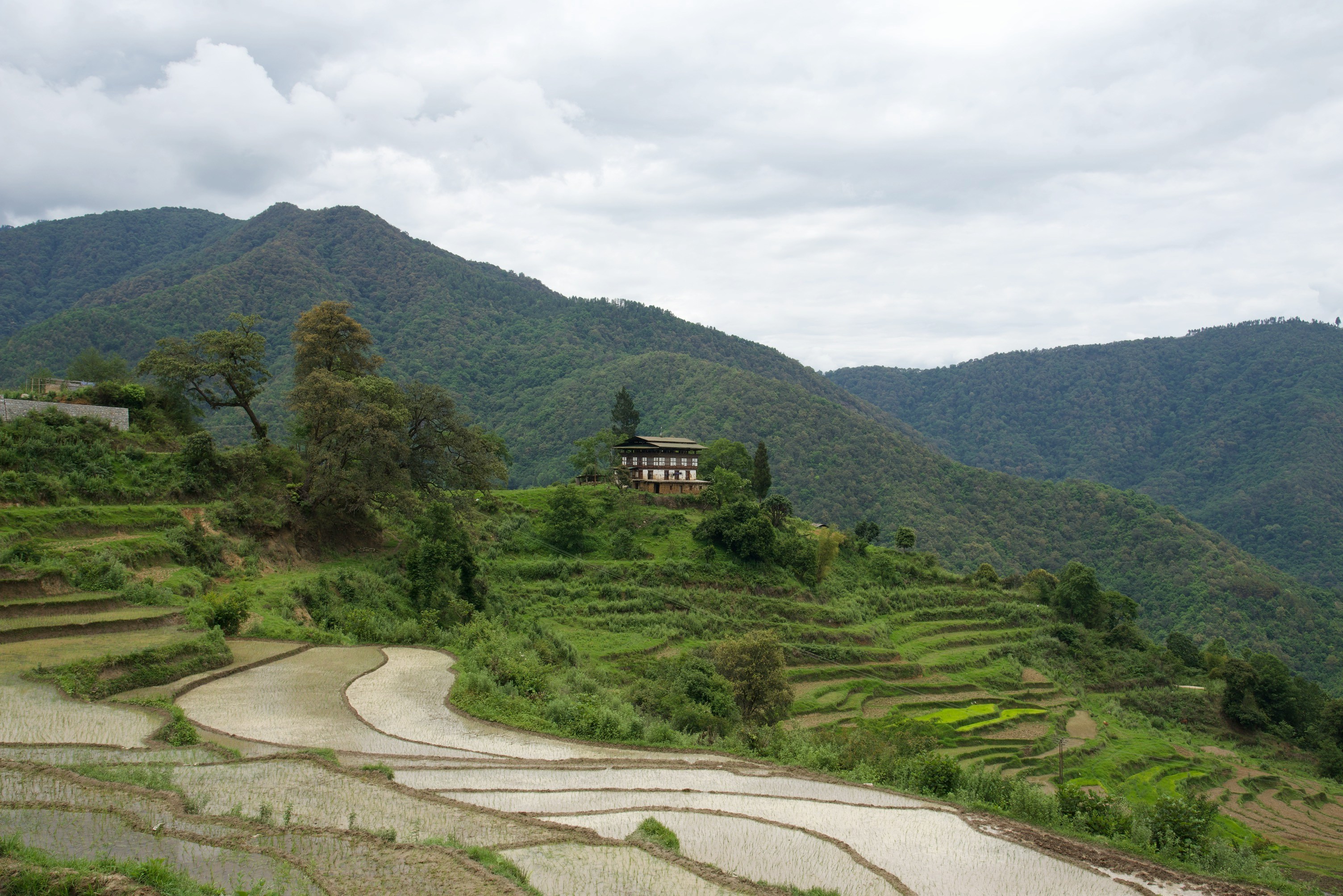 Punakha - Thimphu Highway, Khuruthang, Bhutan