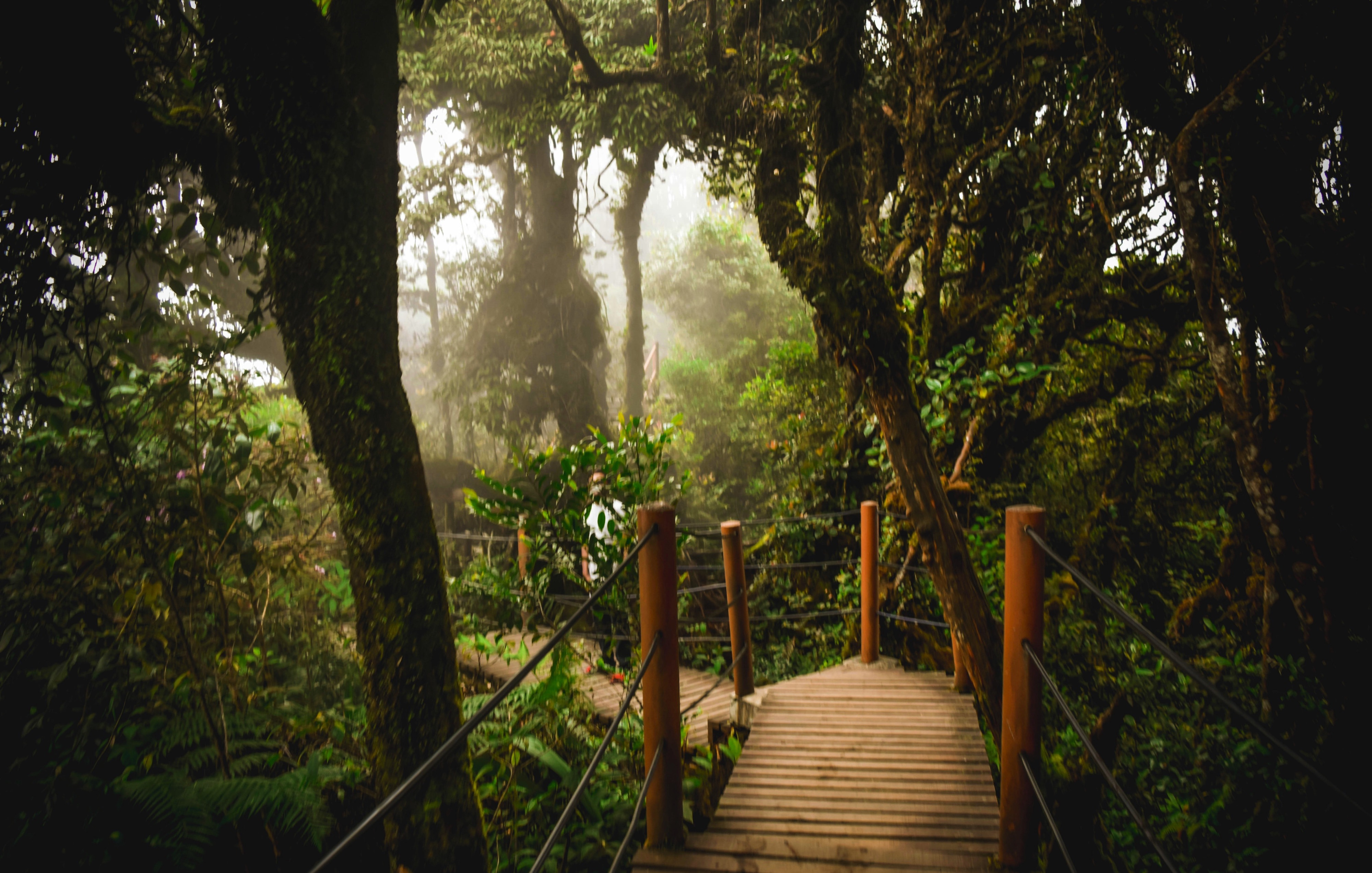 Cameron Highlands, Pahang, Malaysia